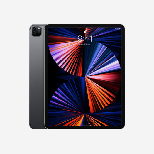 Apple iPad Pro 5th Gen 12.9-inch Cellular 256GB Space Gray (Korean Ver.)