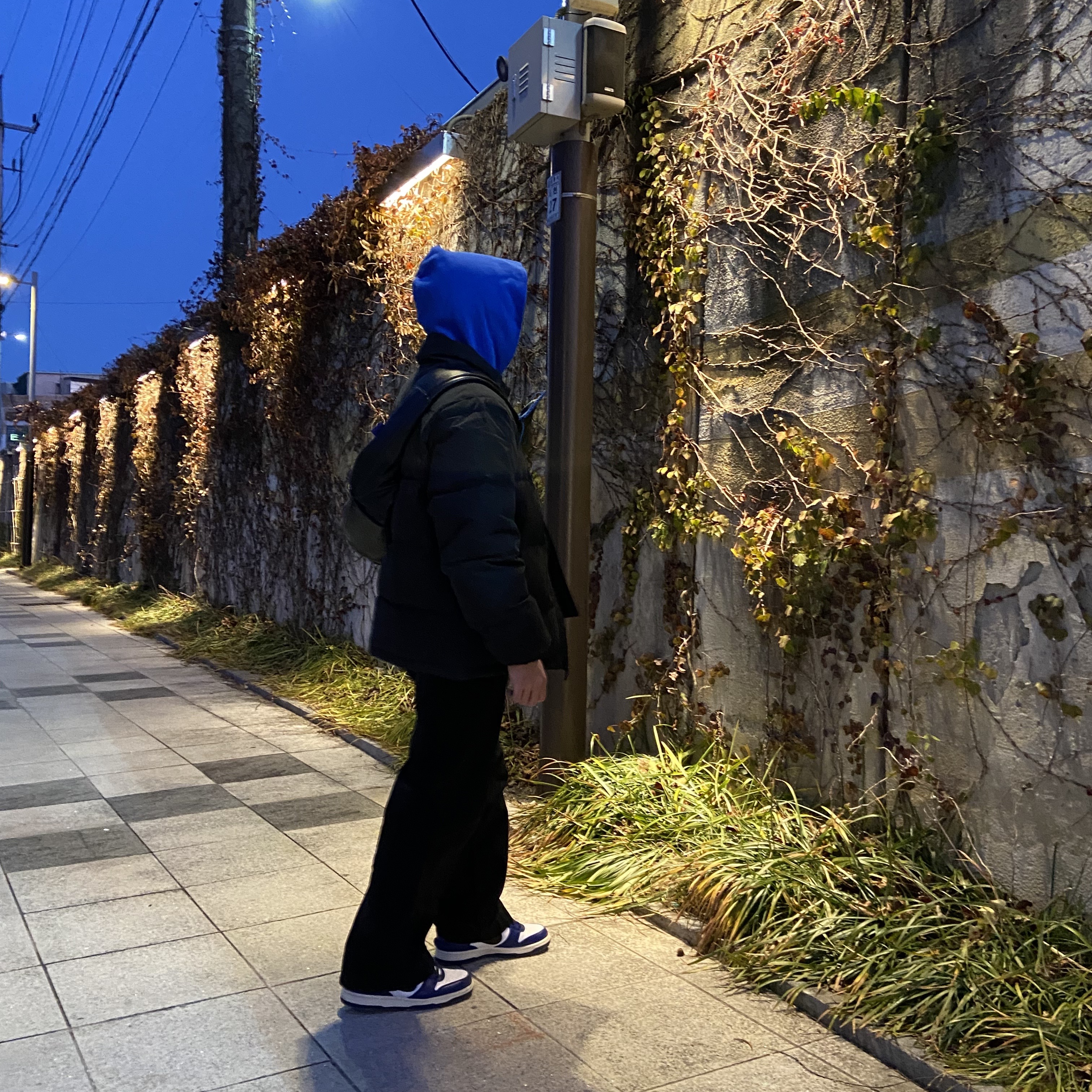 Nike x Ambush Dunk High Deep Royal Blue, Stussy Ripstop Down Puffer Jacket Black 착용 스타일