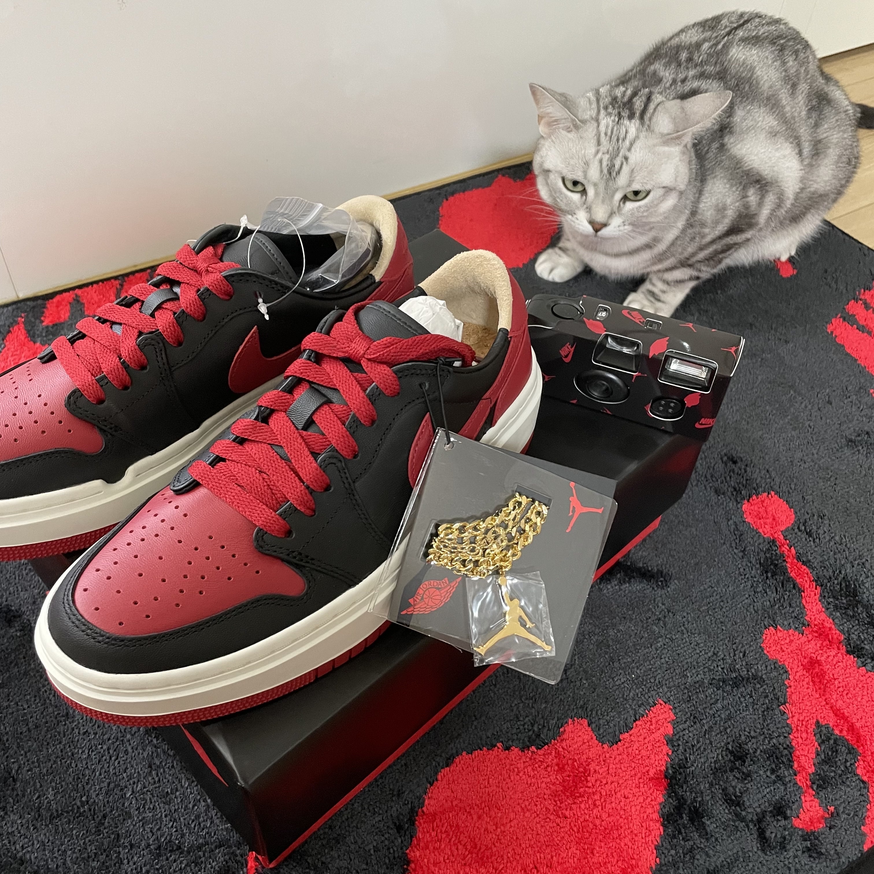 (W) Jordan 1 Elevate Low SE Bred 착용 스타일 - 2