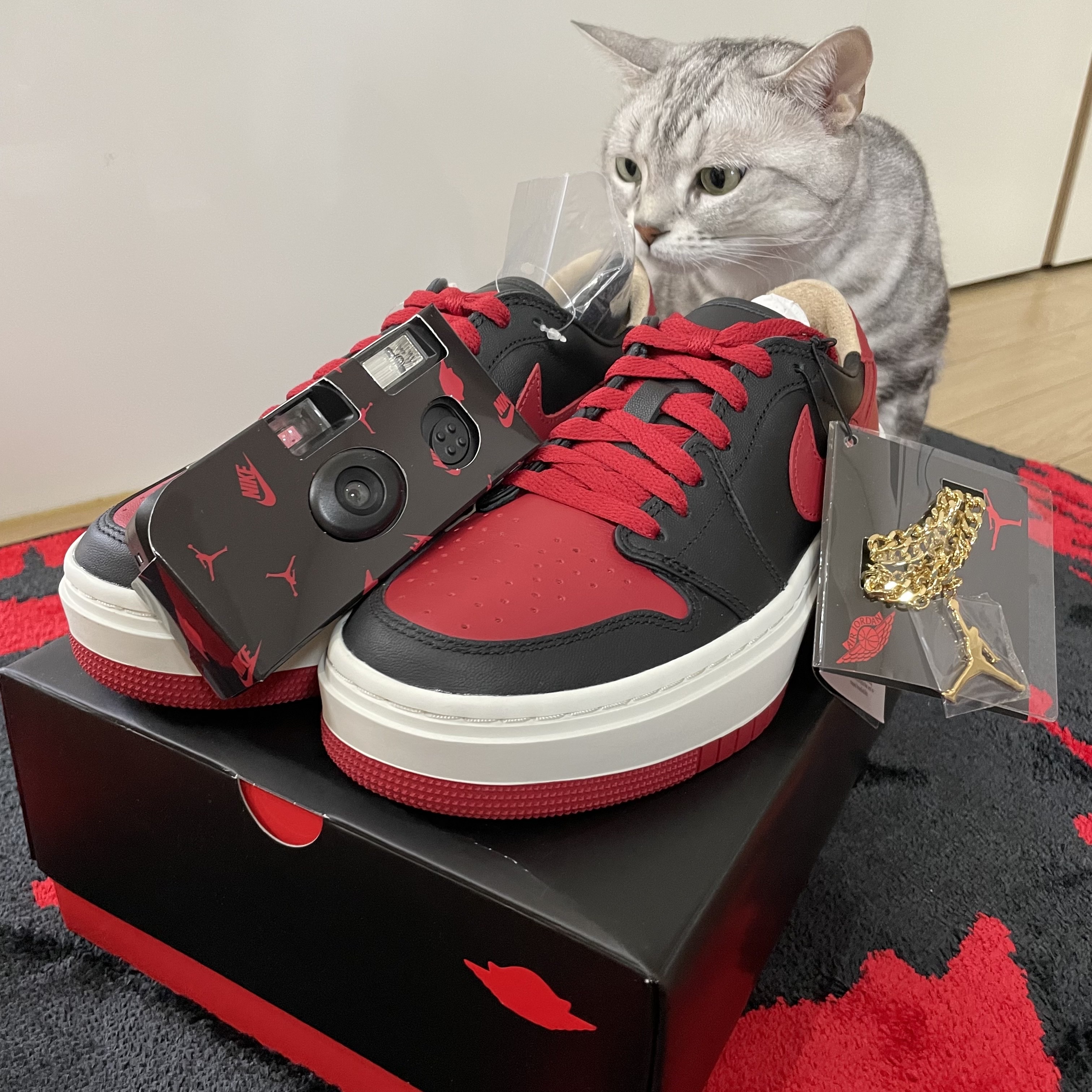 (W) Jordan 1 Elevate Low SE Bred 착용 스타일 - 1