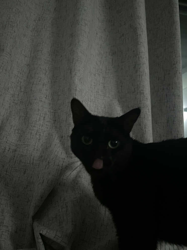 관심 유저 프로필 이미지