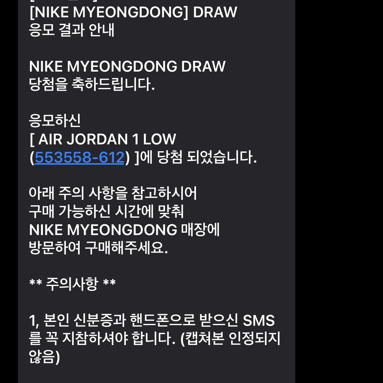 Jordan 1 Low Bred Toe 착용 스타일