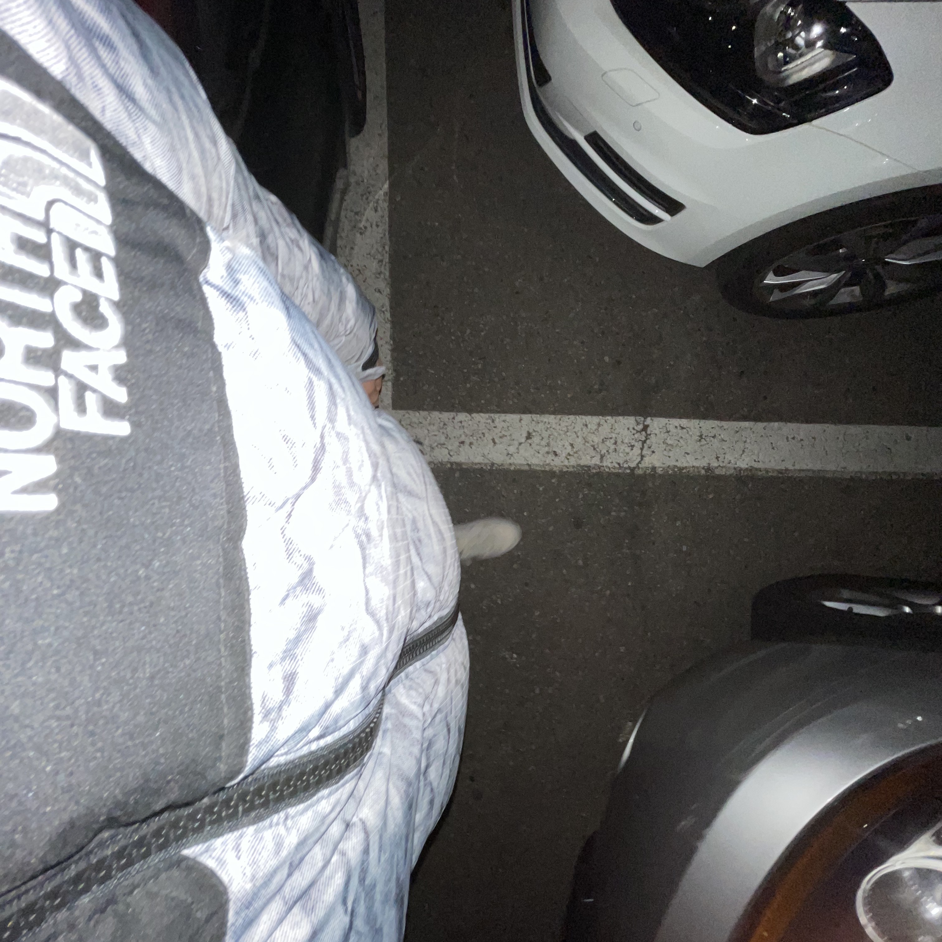 The North Face White Label Novelty Nuptse Down Jacket White, (W) Nike Daybreak Summit White 착용 스타일 - 4