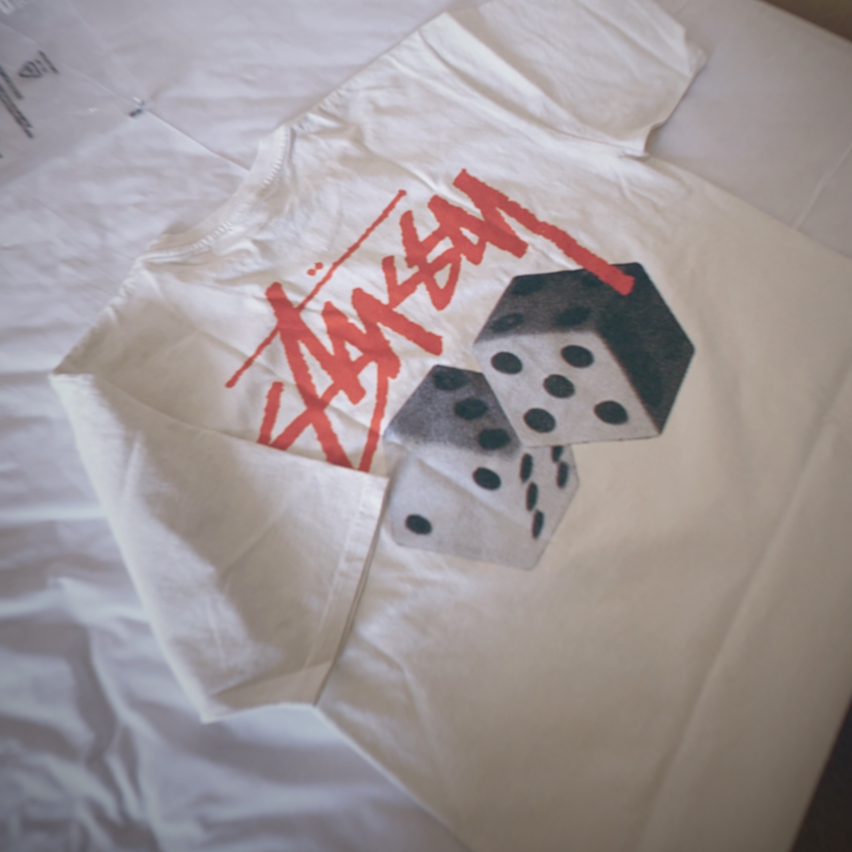 Stussy Roll The Dice Pigment Dyed T-Shirt Natural 착용 스타일 - 1