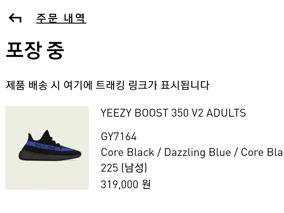 Adidas Yeezy Boost 350 V2 Dazzling Blue 착용 스타일