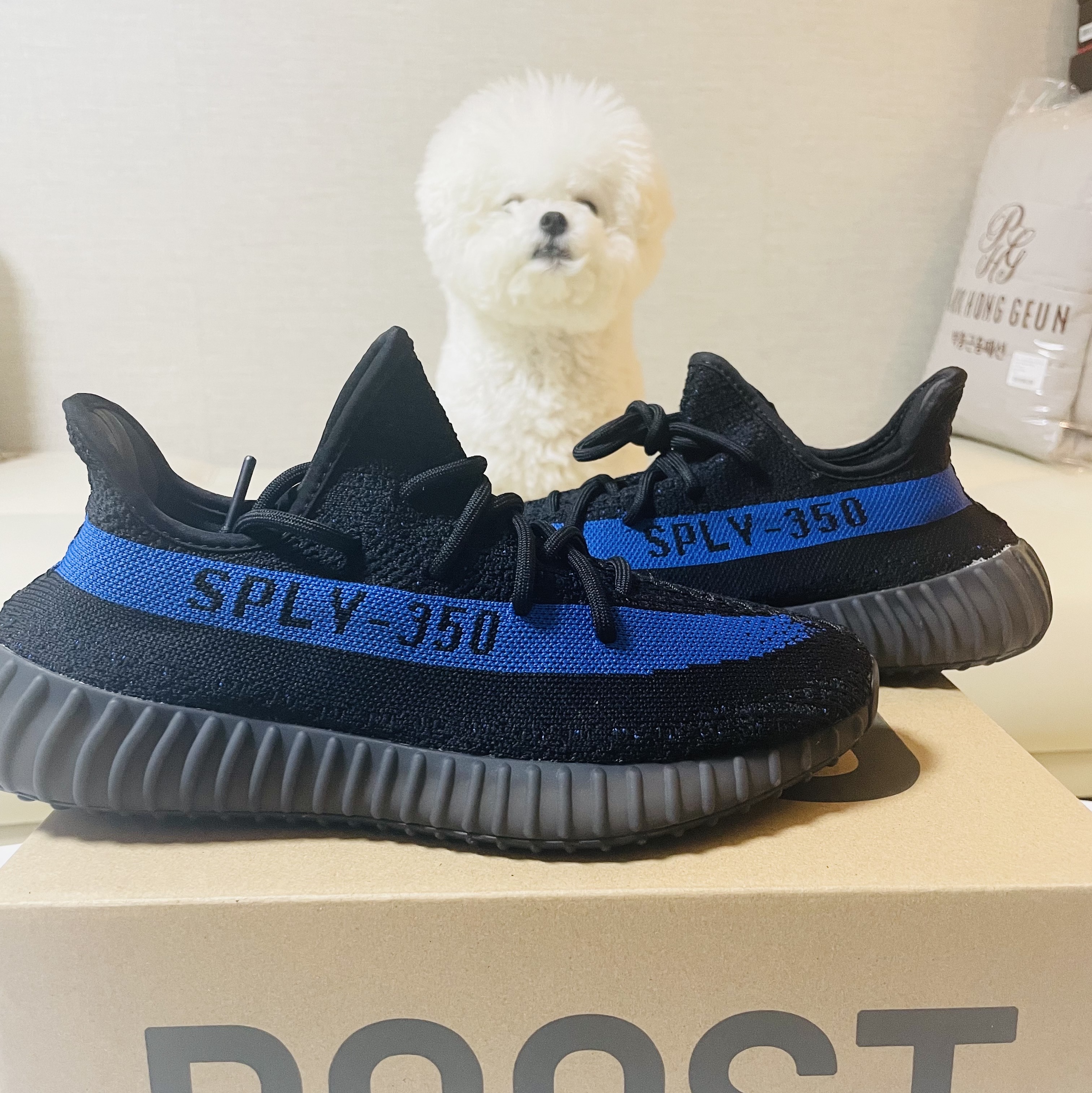 Adidas Yeezy Boost 350 V2 Dazzling Blue 착용 스타일