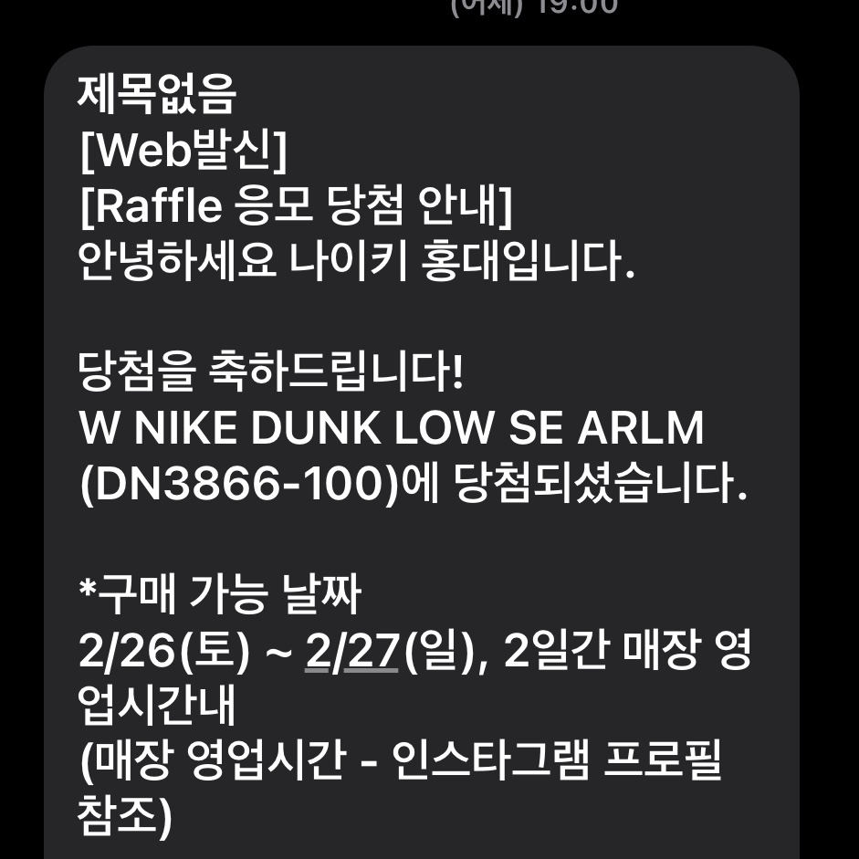 (W) Nike Dunk Low SE Patchwork 착용 스타일