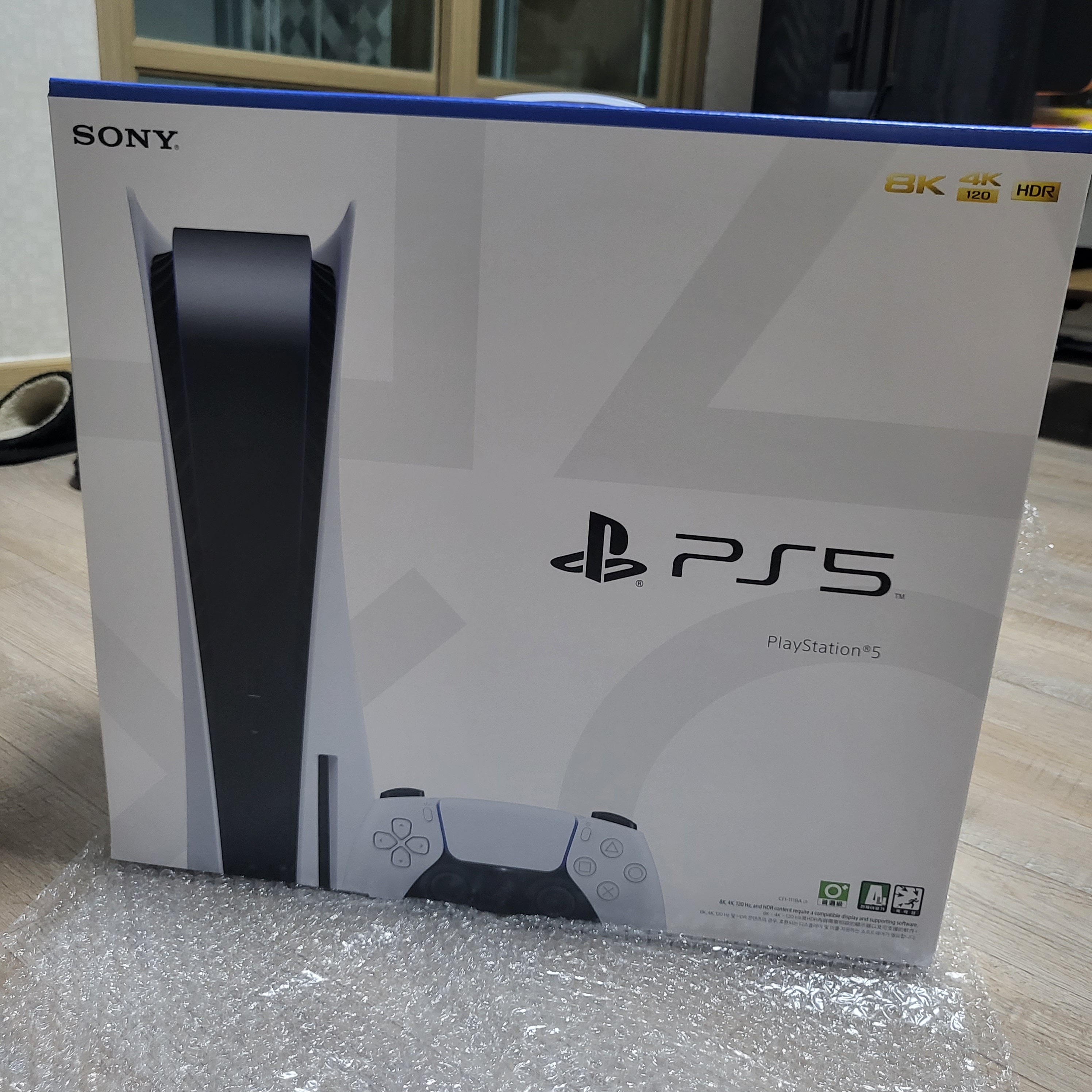Playstation 5 Blu-ray Edition (SIEK 220V) 착용 스타일