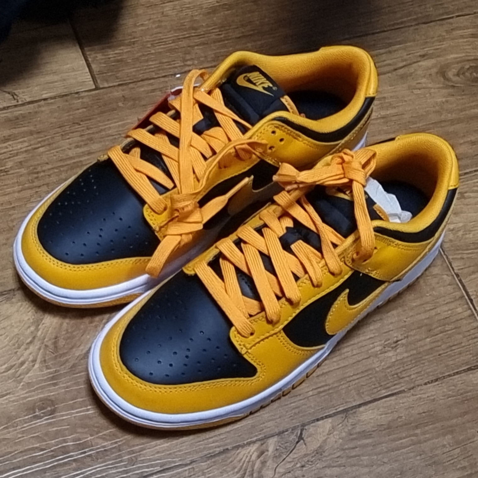 Nike Dunk Low Retro Championship Goldenrod 착용 스타일