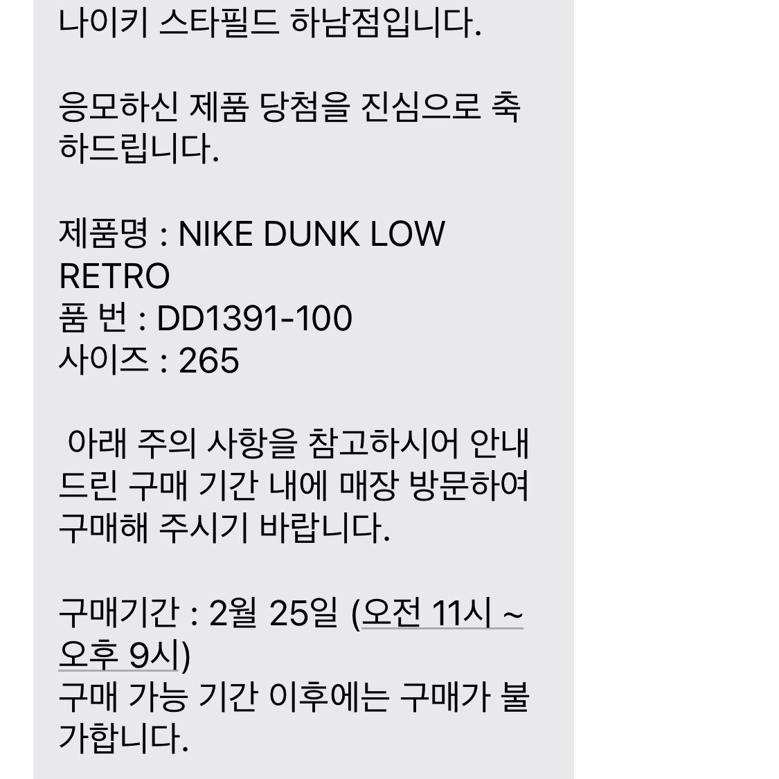 Nike Dunk Low Retro Black 착용 스타일
