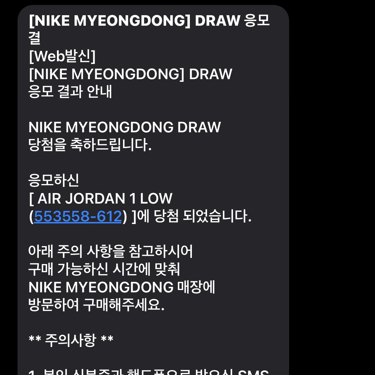 Jordan 1 Low Bred Toe 착용 스타일 - 4