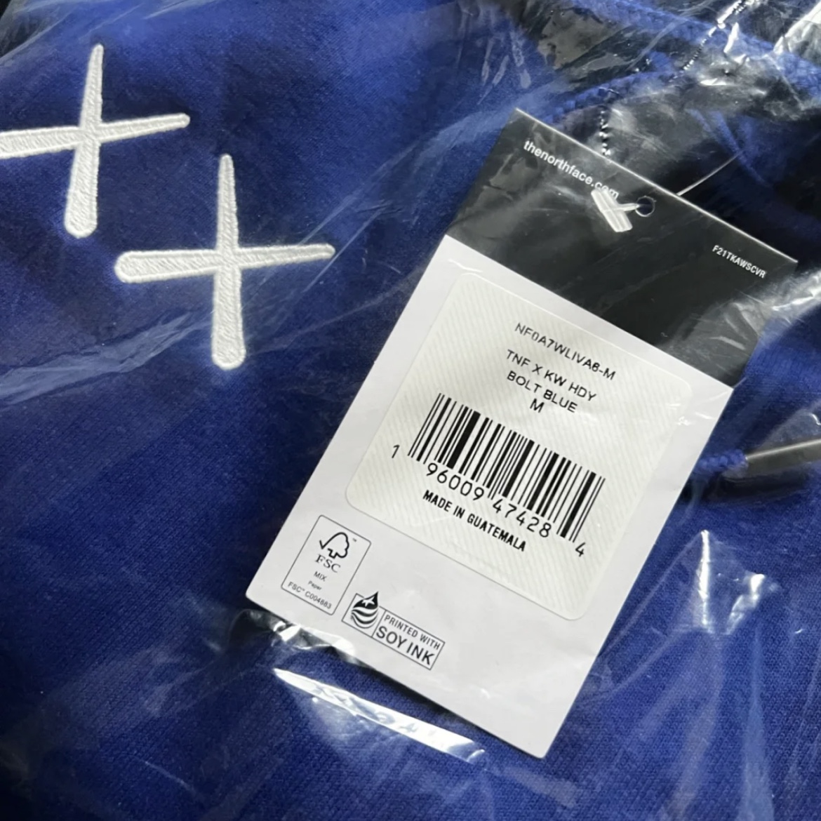 The North Face x Kaws Popover Hoodie Bolt Blue 착용 스타일 - 2