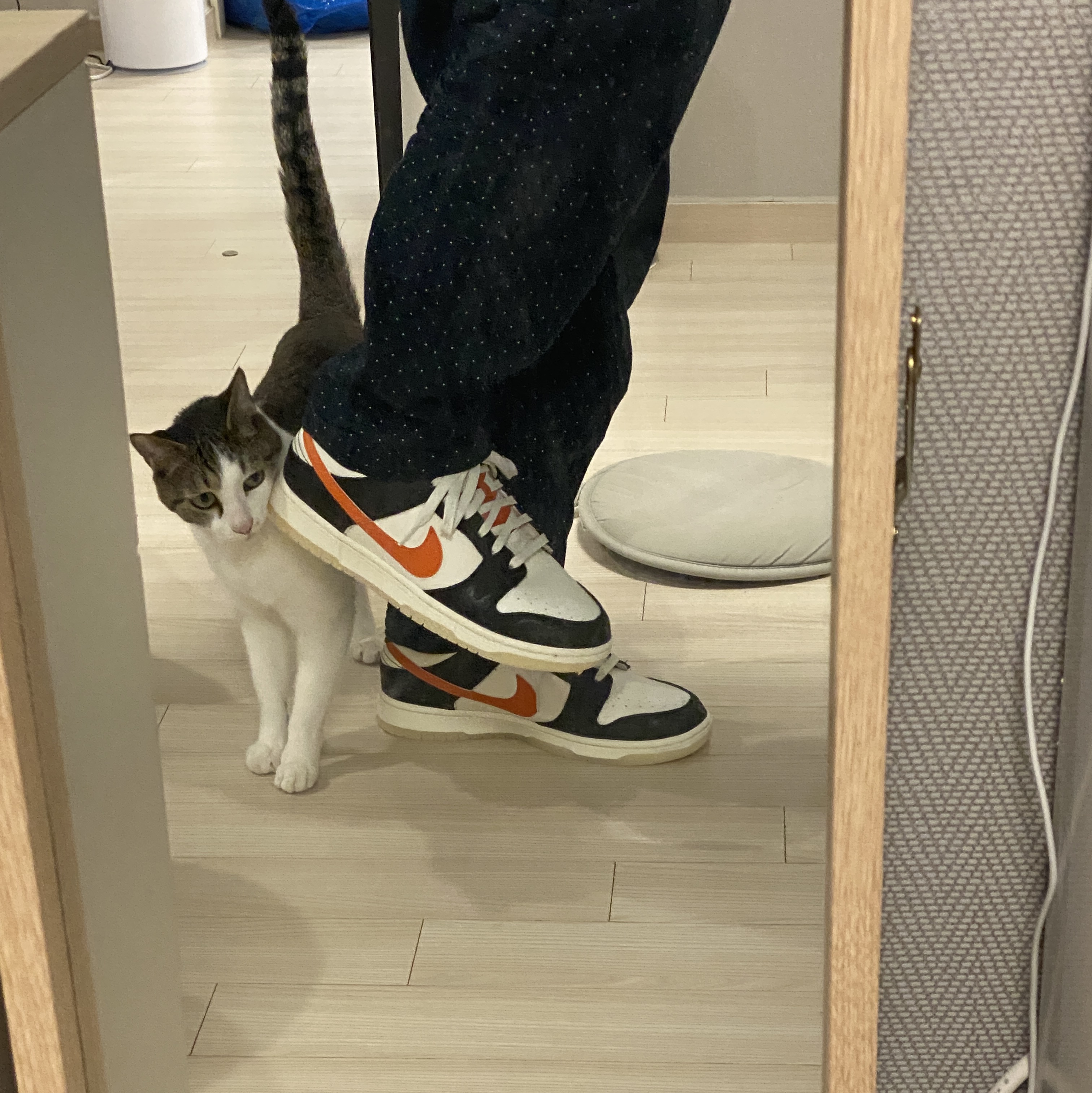 Nike Dunk Low Retro PRM Halloween, Nike Dunk Low Retro Black 착용 스타일 - 2