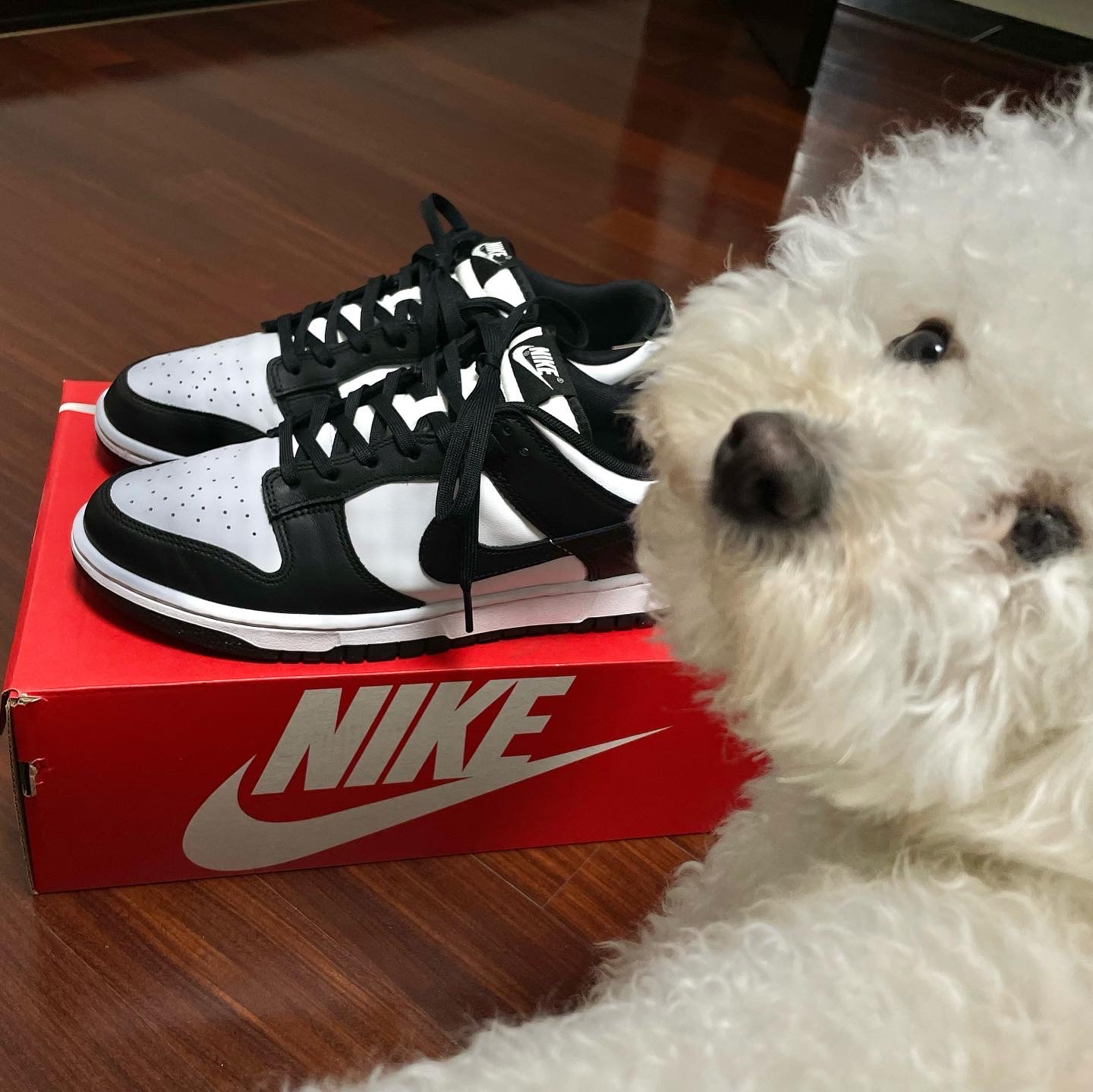Nike Dunk Low Retro Black 착용 스타일 - 5
