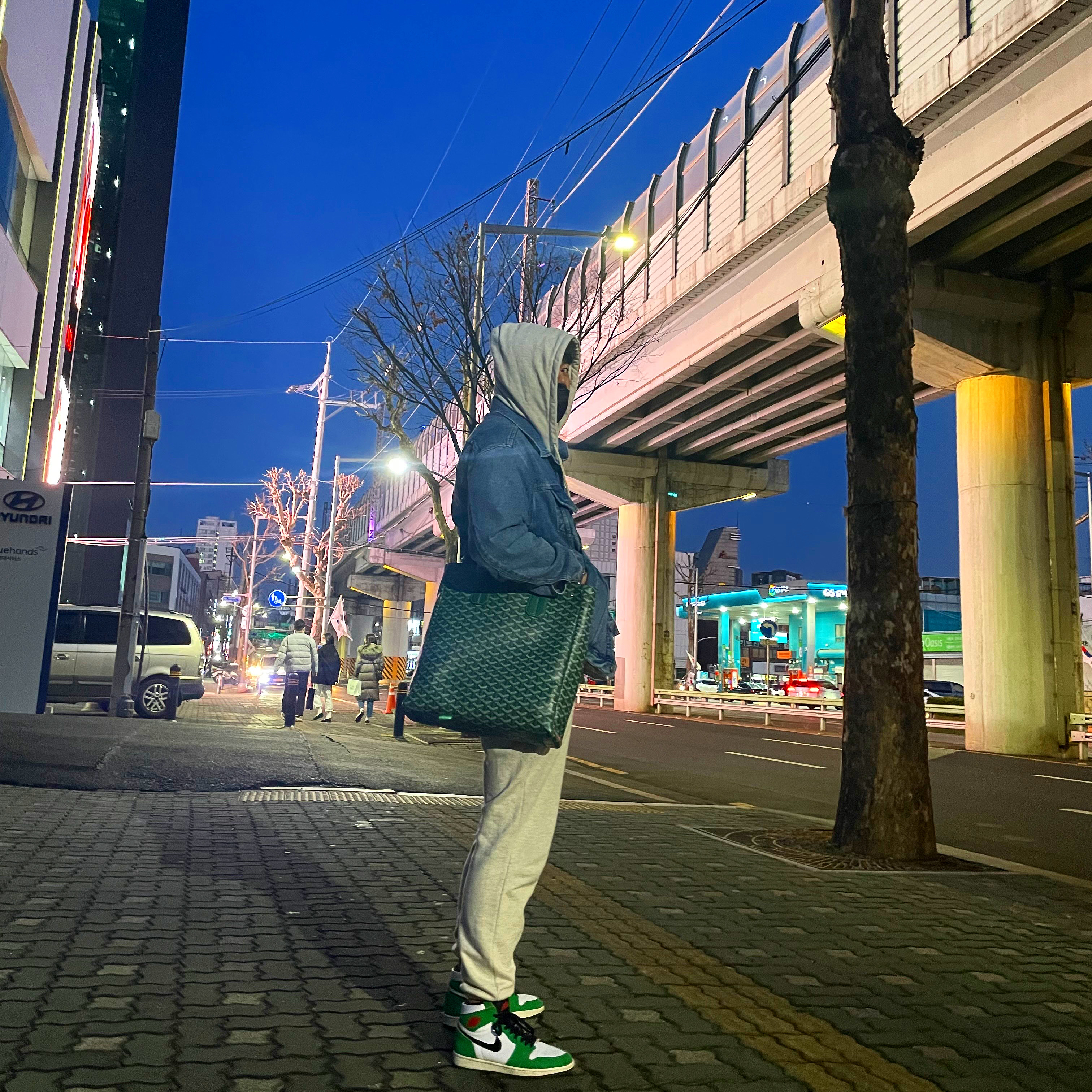 (W) Jordan 1 Retro High OG Lucky Green, Goyard Voltaire Bag Green 착용 스타일