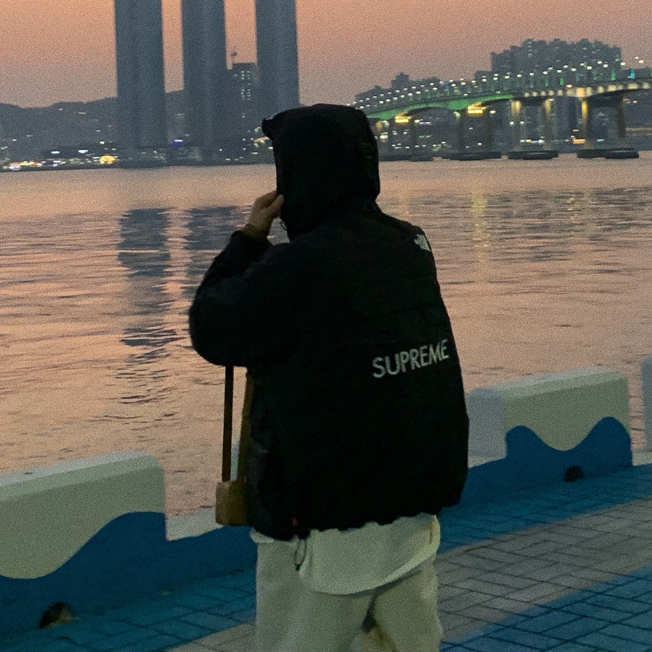Supreme x The North Face Cargo Jacket Black - 20SS, Bottega Veneta Mini Leather Cassette Acorn 착용 스타일 - 2