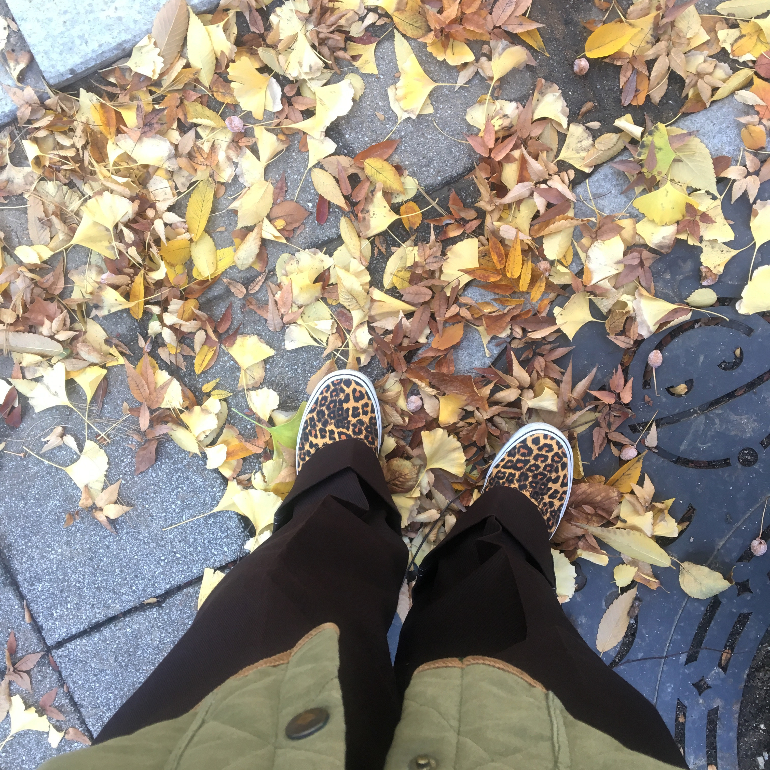 steelosteelo님의 스타일