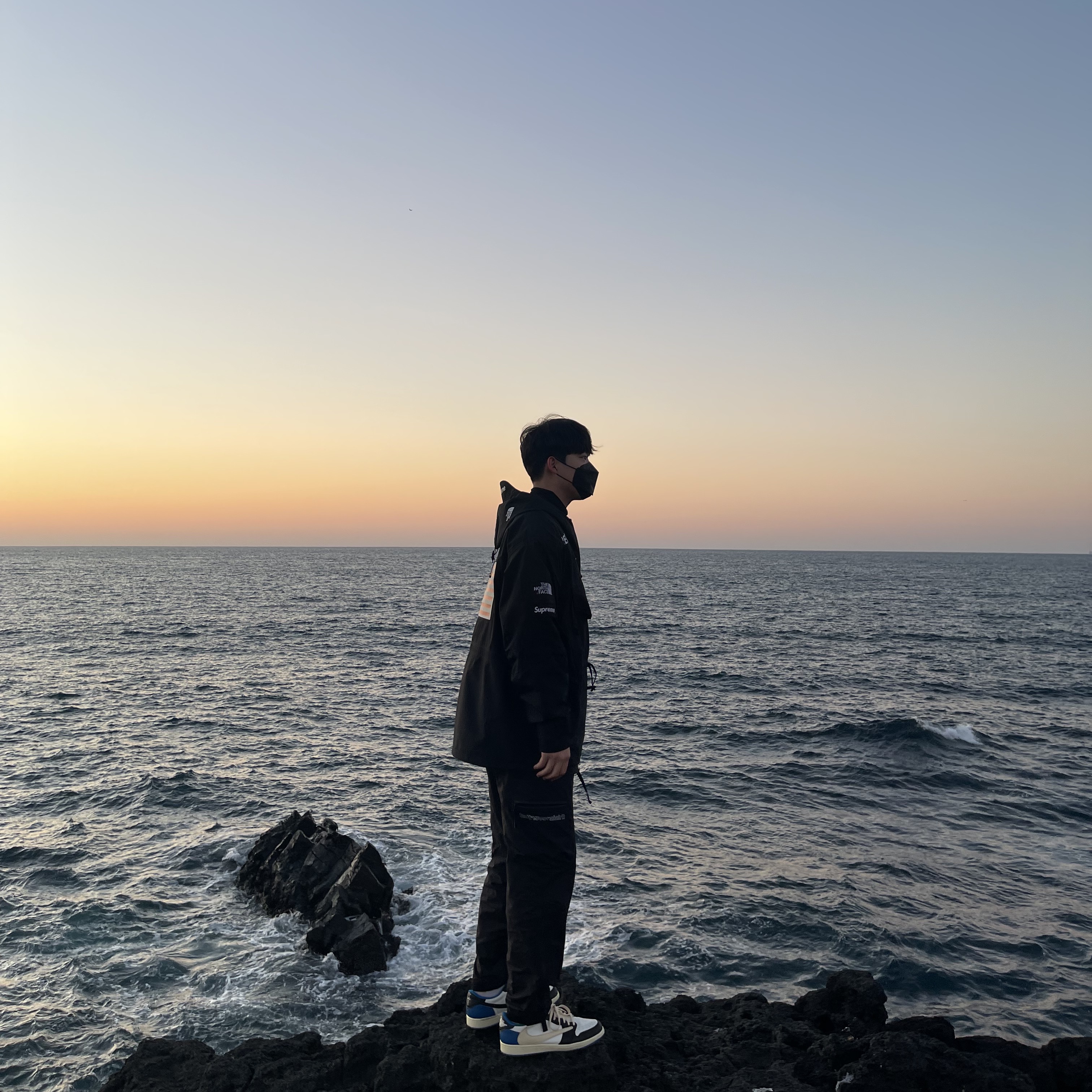 Jordan 1 x Travis Scott x Fragment Retro Low OG SP Military Blue, Supreme x The North Face Trans Antarctica Expedition Pullover Jacket Black - 17SS 착용 스타일