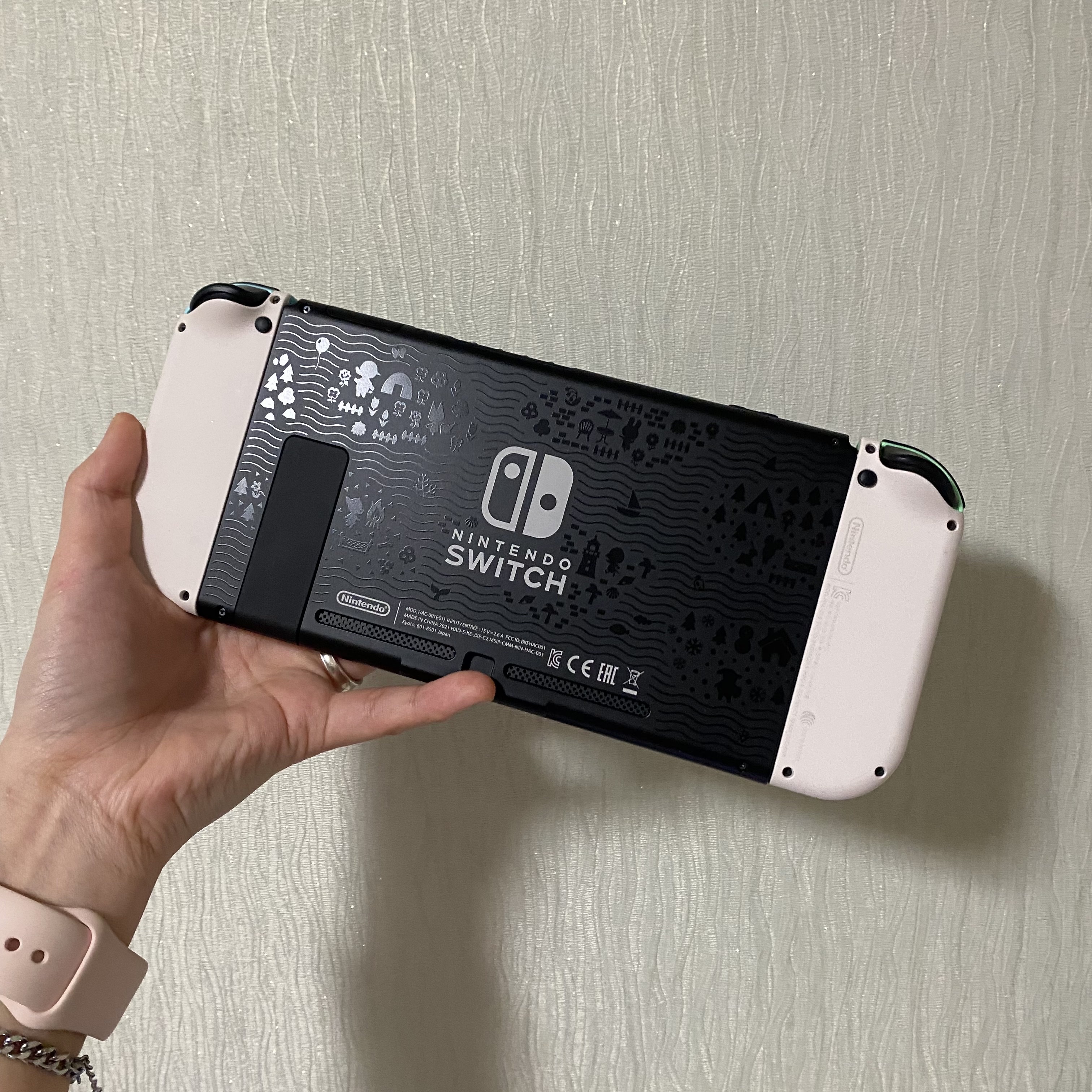 Nintendo Switch Animal Crossing Edition (Korean Ver.) 착용 스타일