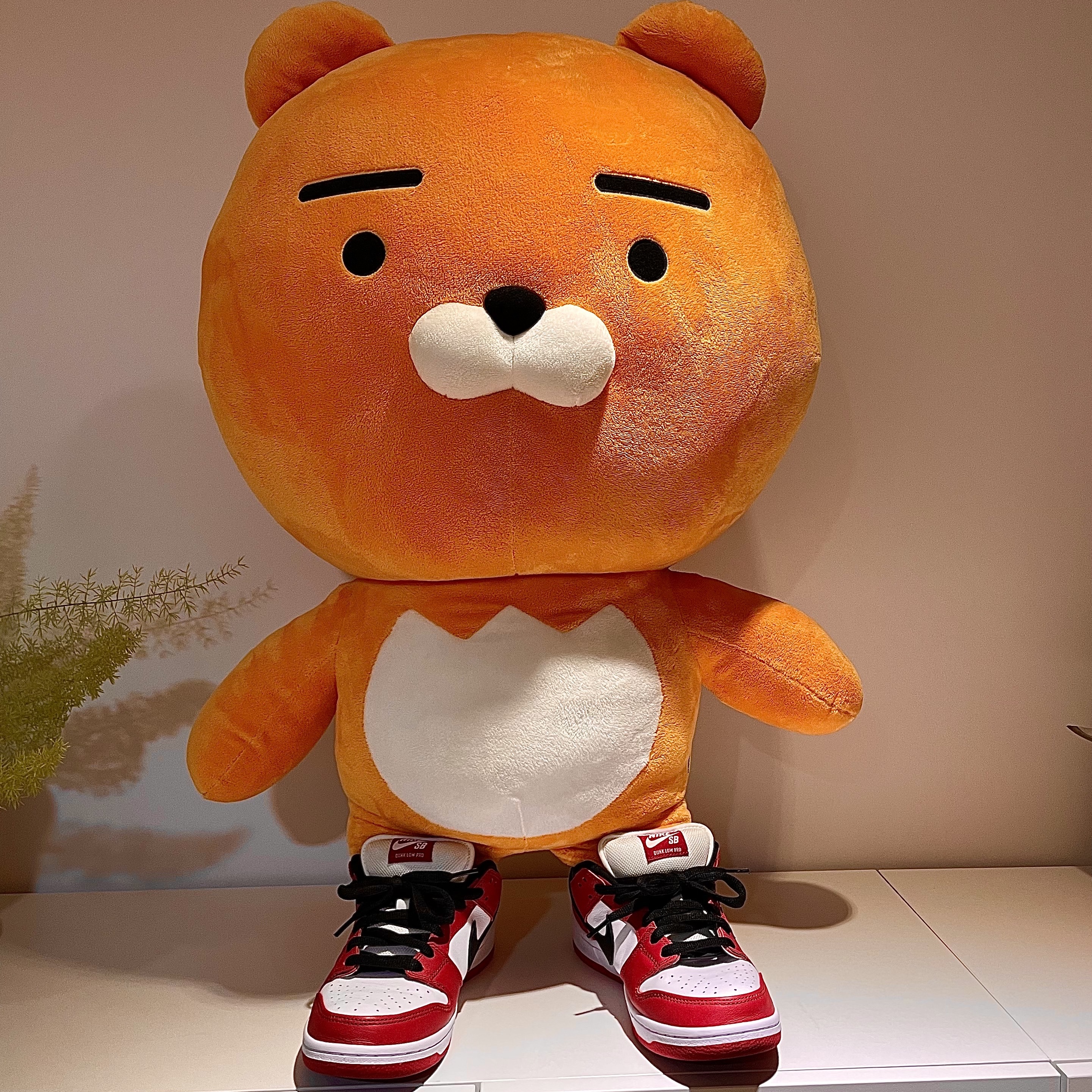 Nike SB Dunk Low Pro Chicago 착용 스타일