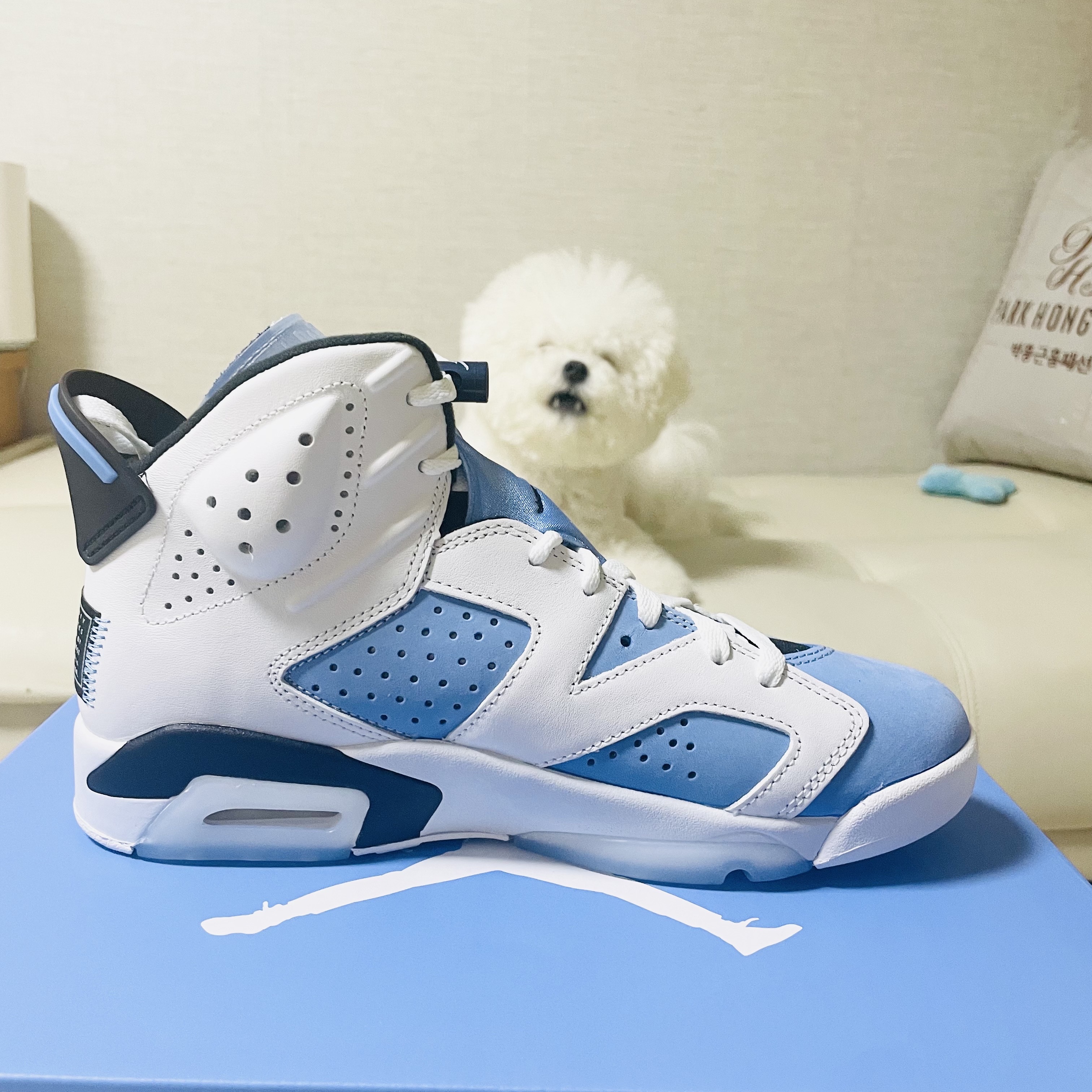 Jordan 6 Retro University Blue 착용 스타일