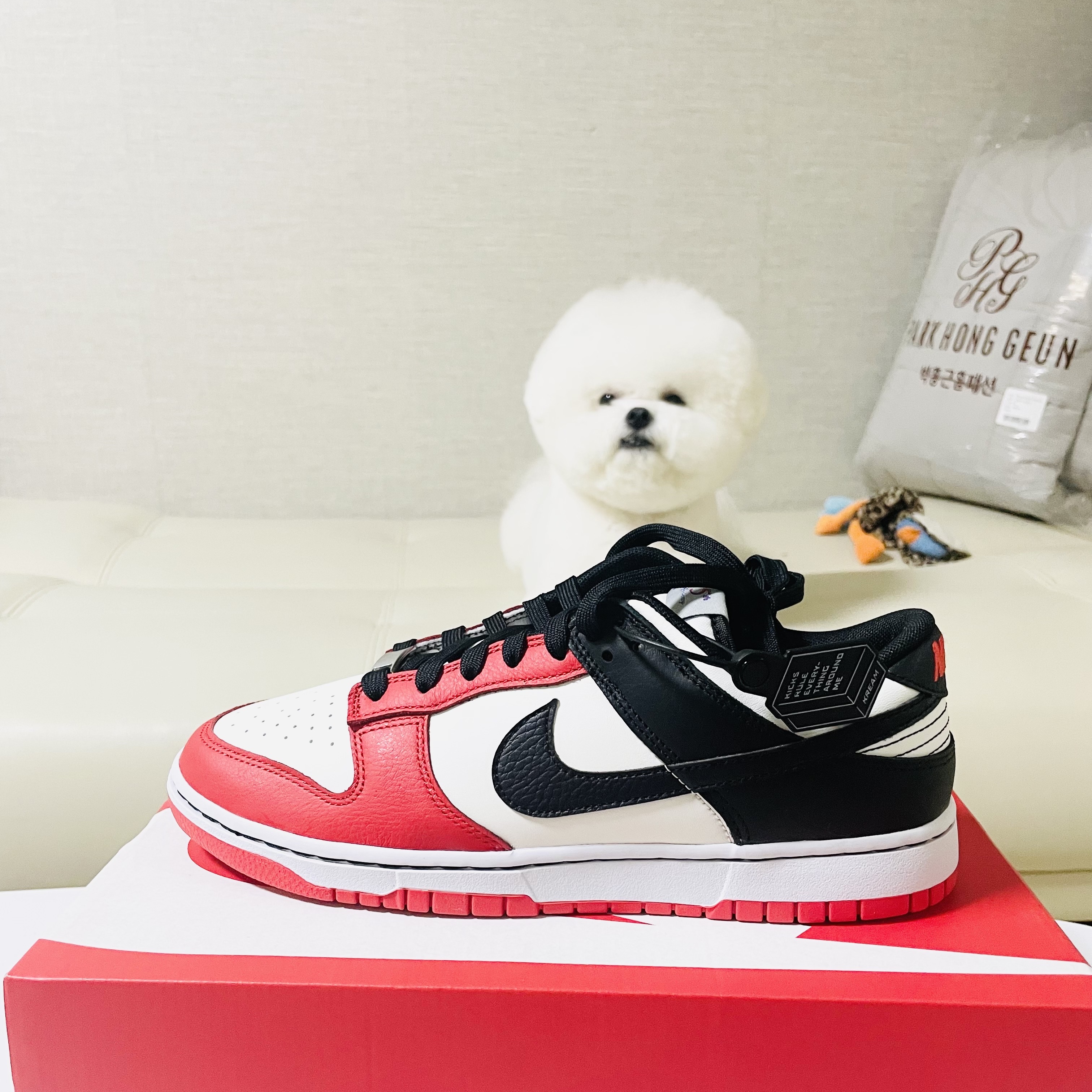 Nike x NBA Dunk Low Retro EMB Black and Chile Red 착용 스타일
