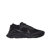 Nike Pegasus Trail 3 Gore-Tex Black Dark Smoke Grey