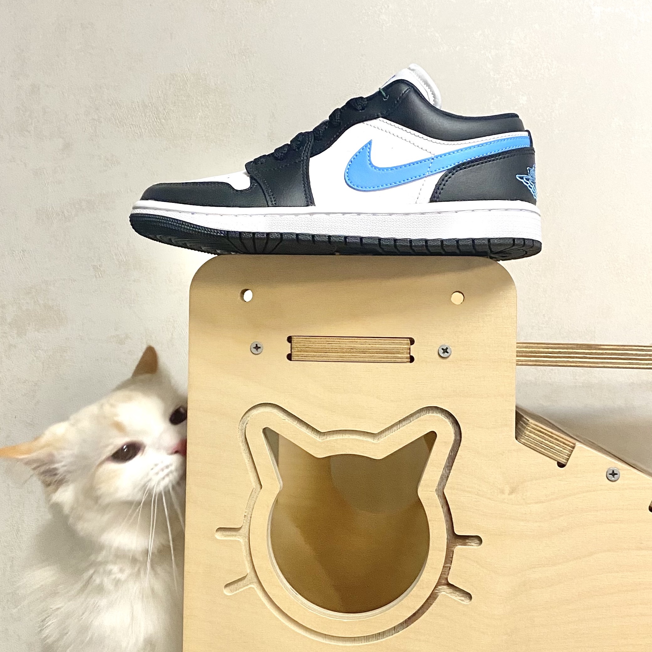 (W) Jordan 1 Low Black University Blue 착용 스타일