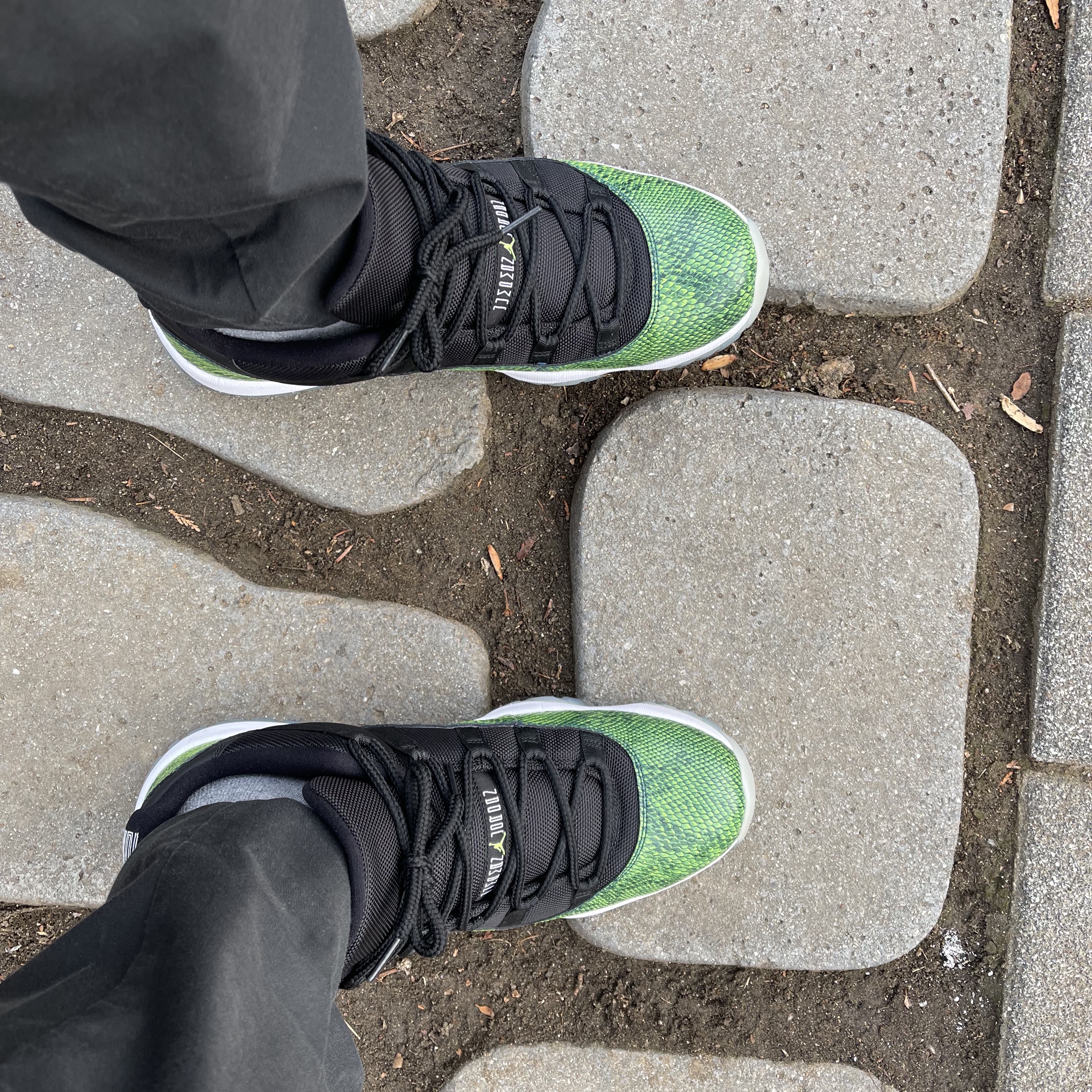 Jordan 11 Retro Low Green Snakeskin 착용 스타일 - 2