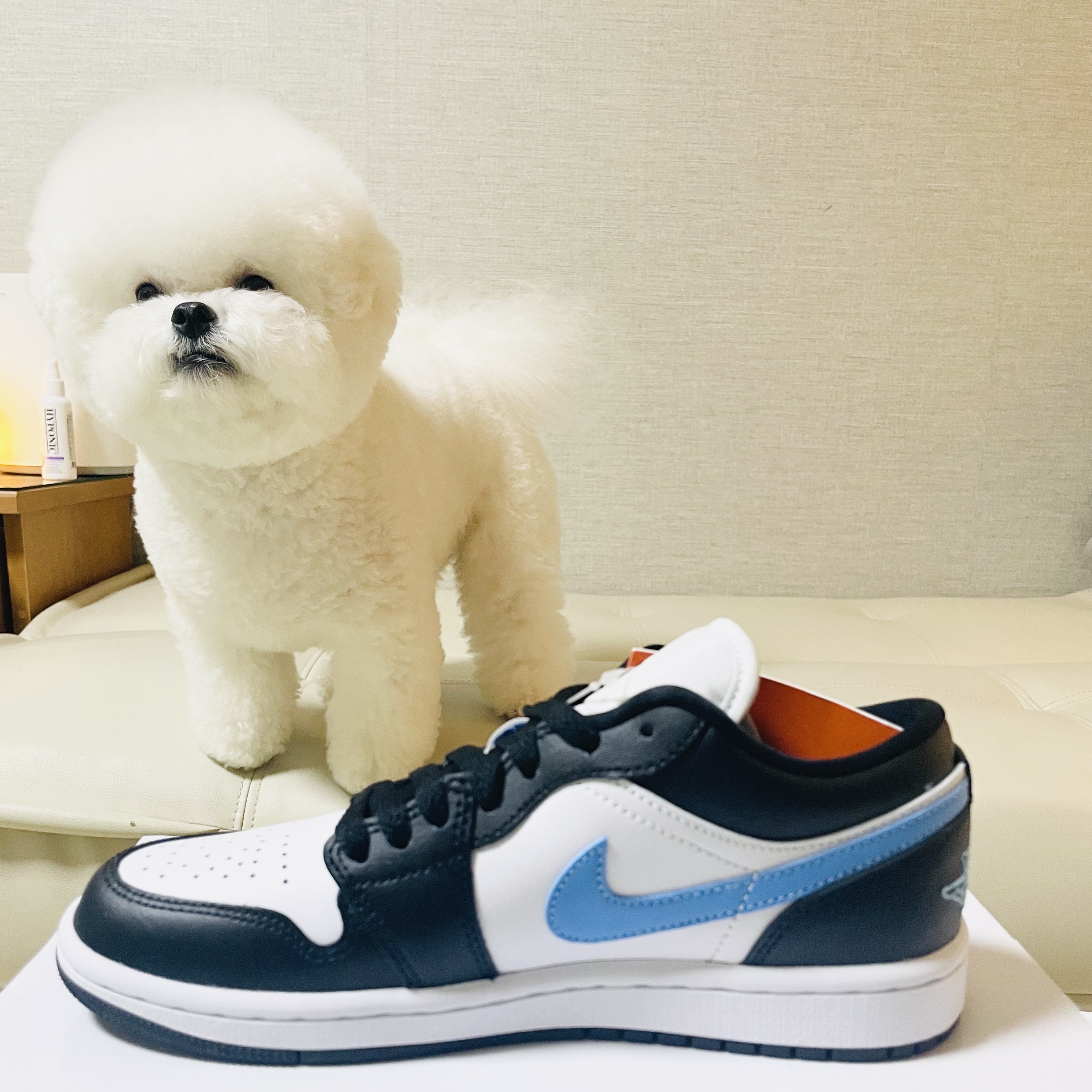 (W) Jordan 1 Low Black University Blue 착용 스타일 - 2
