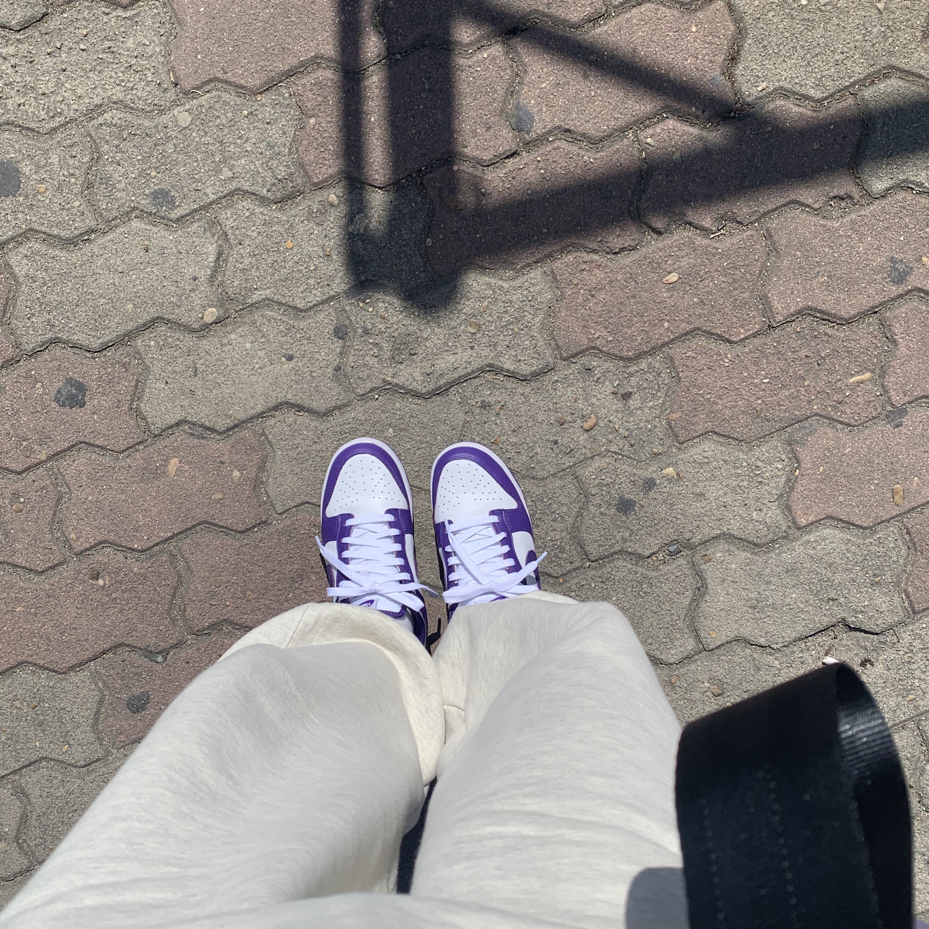 Nike Dunk Low Retro Championship Court Purple 착용 스타일 - 3
