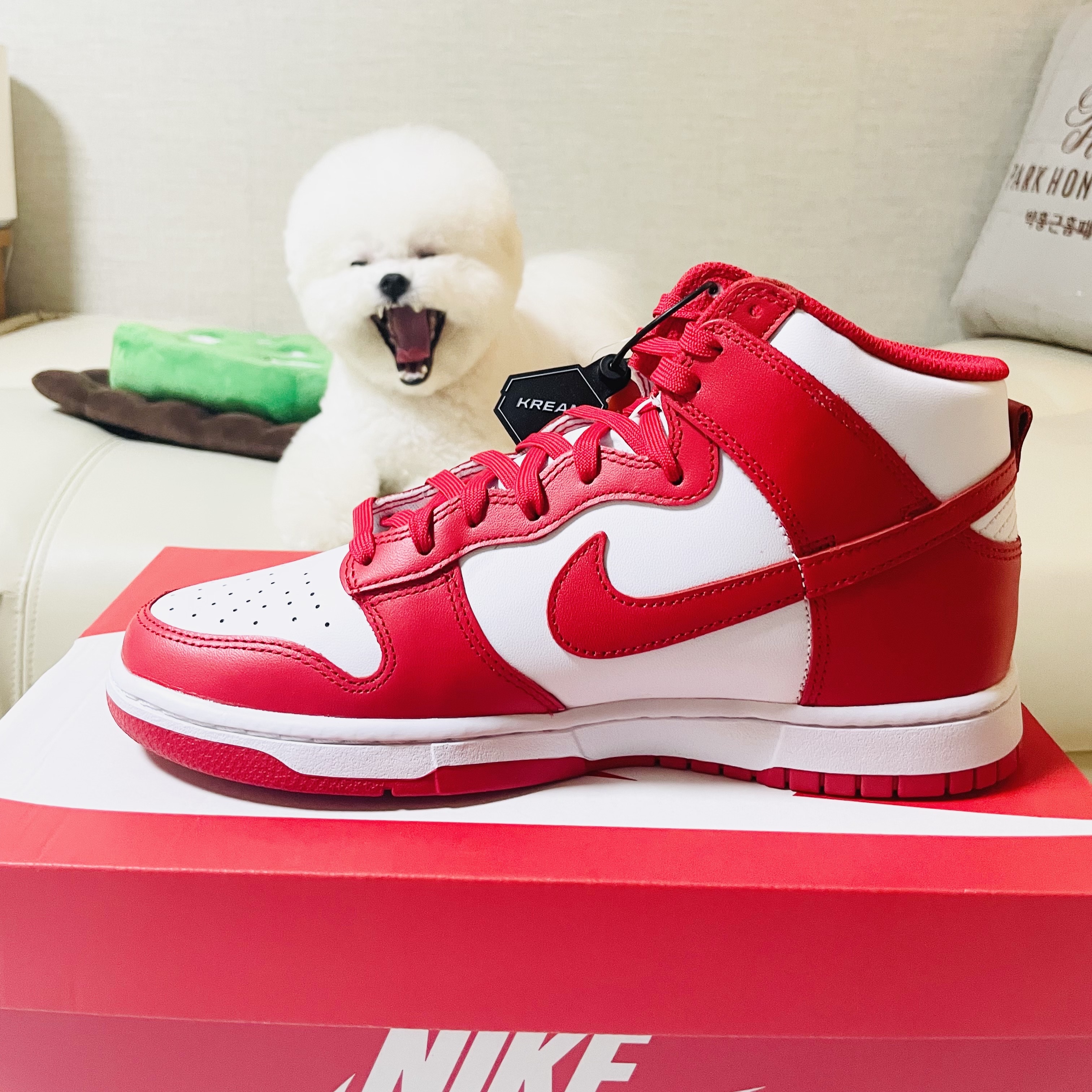 Nike Dunk High Retro Championship White and Red 착용 스타일