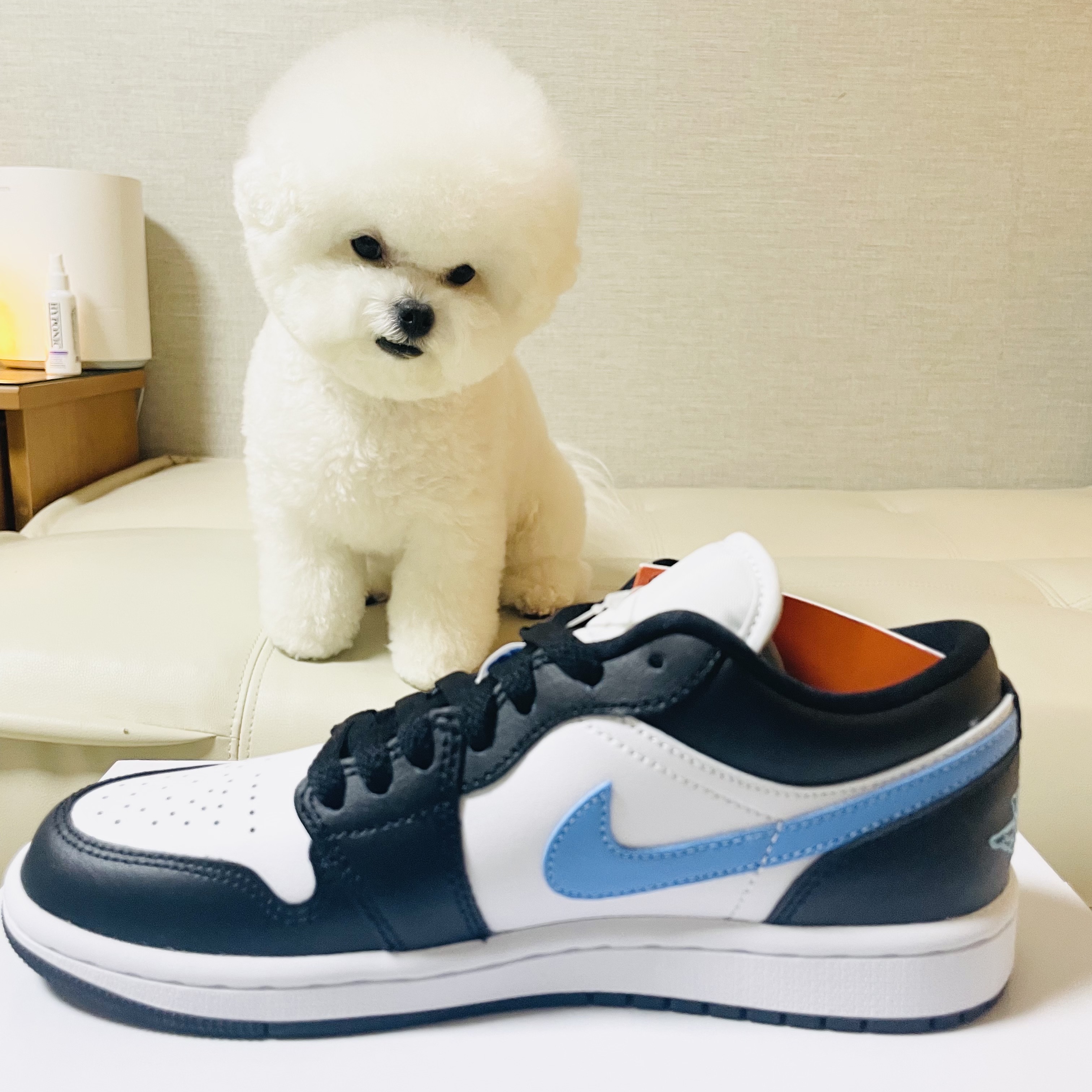 (W) Jordan 1 Low Black University Blue 착용 스타일 - 1