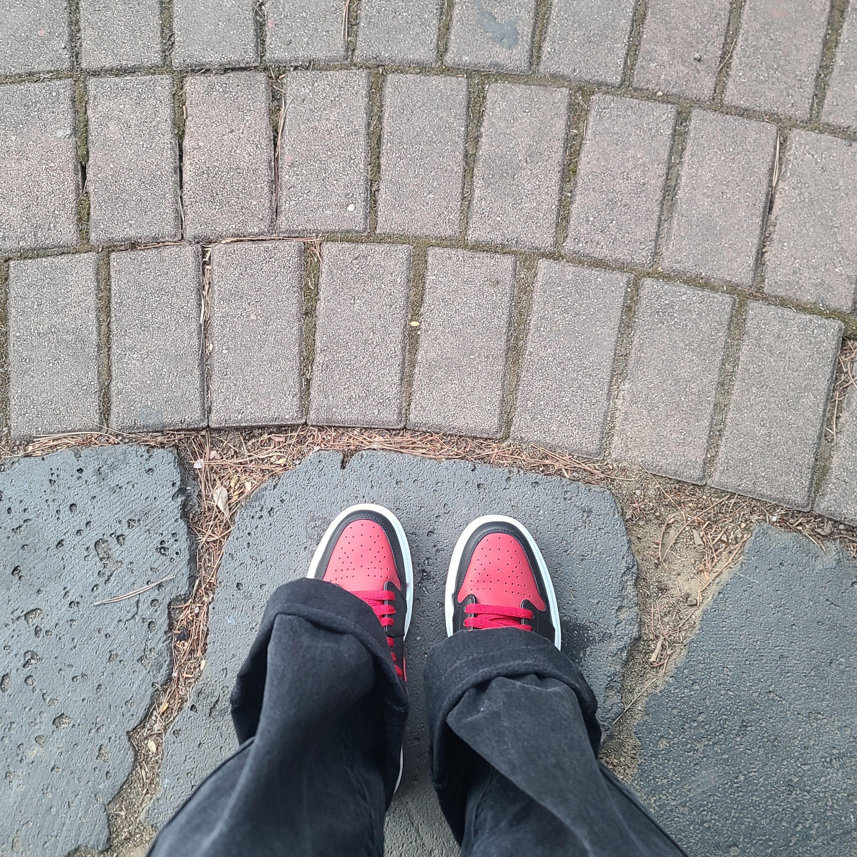 (W) Jordan 1 Elevate Low SE Bred 착용 스타일 - 3