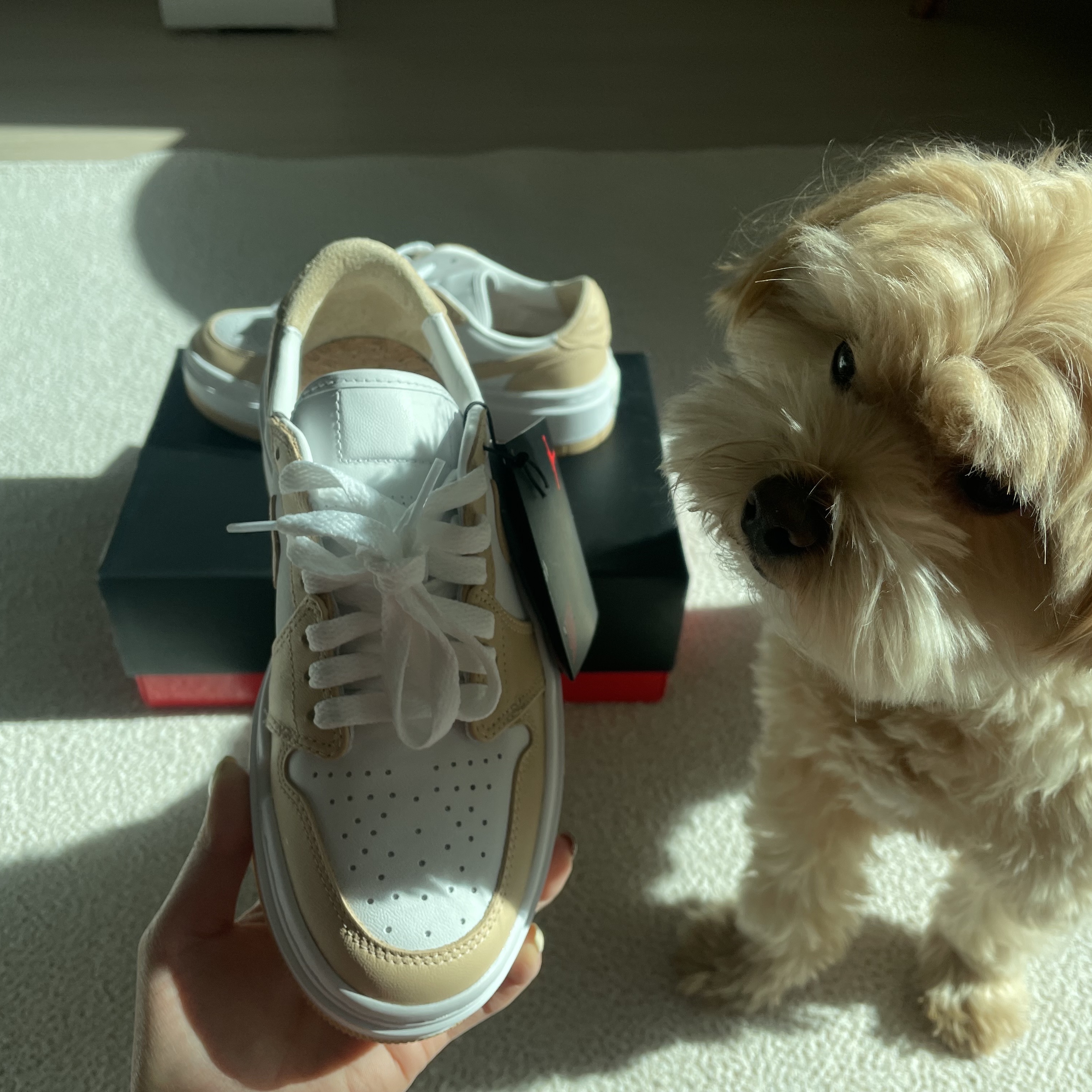 (W) Jordan 1 Elevate Low White Onyx 착용 스타일 - 2
