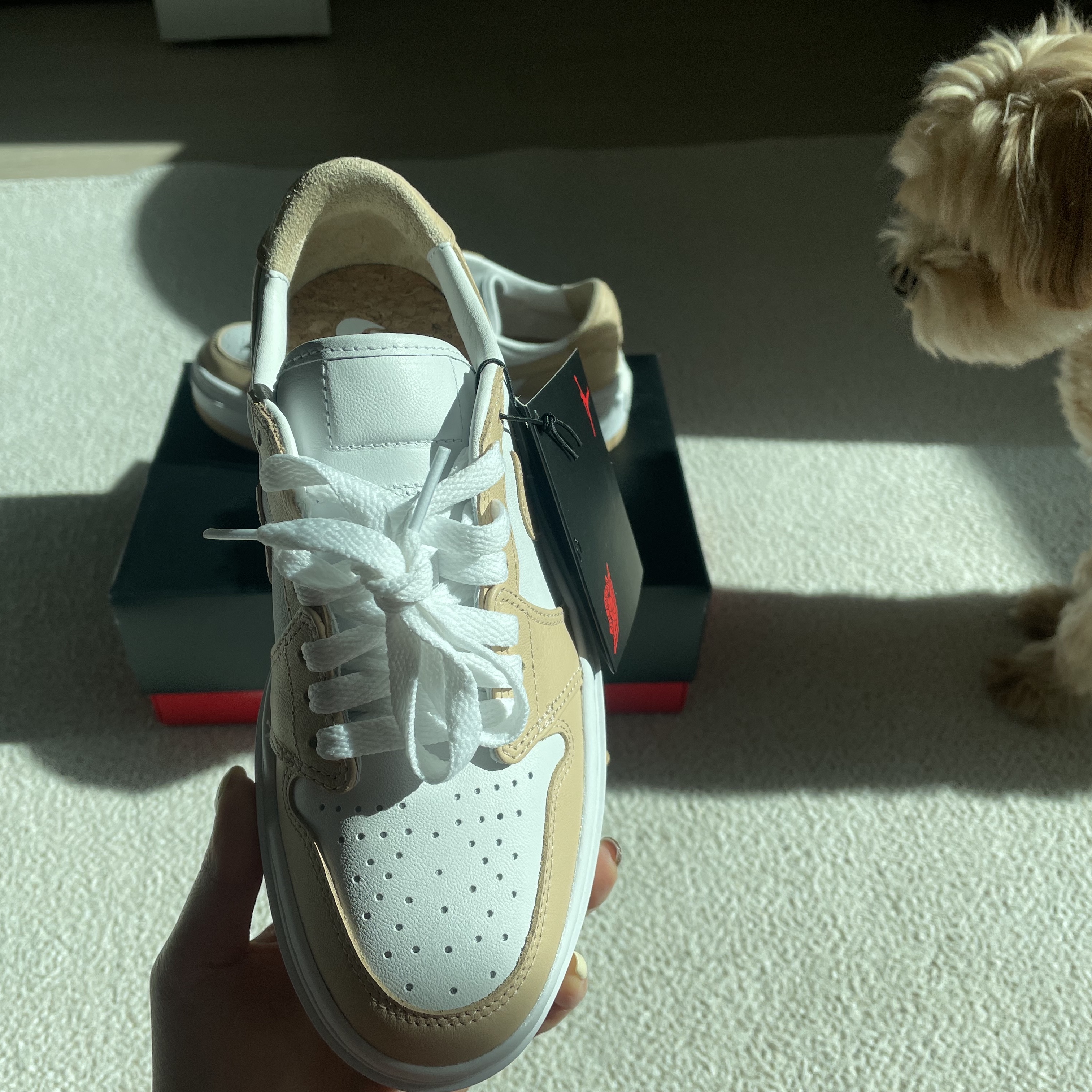 (W) Jordan 1 Elevate Low White Onyx 착용 스타일 - 1