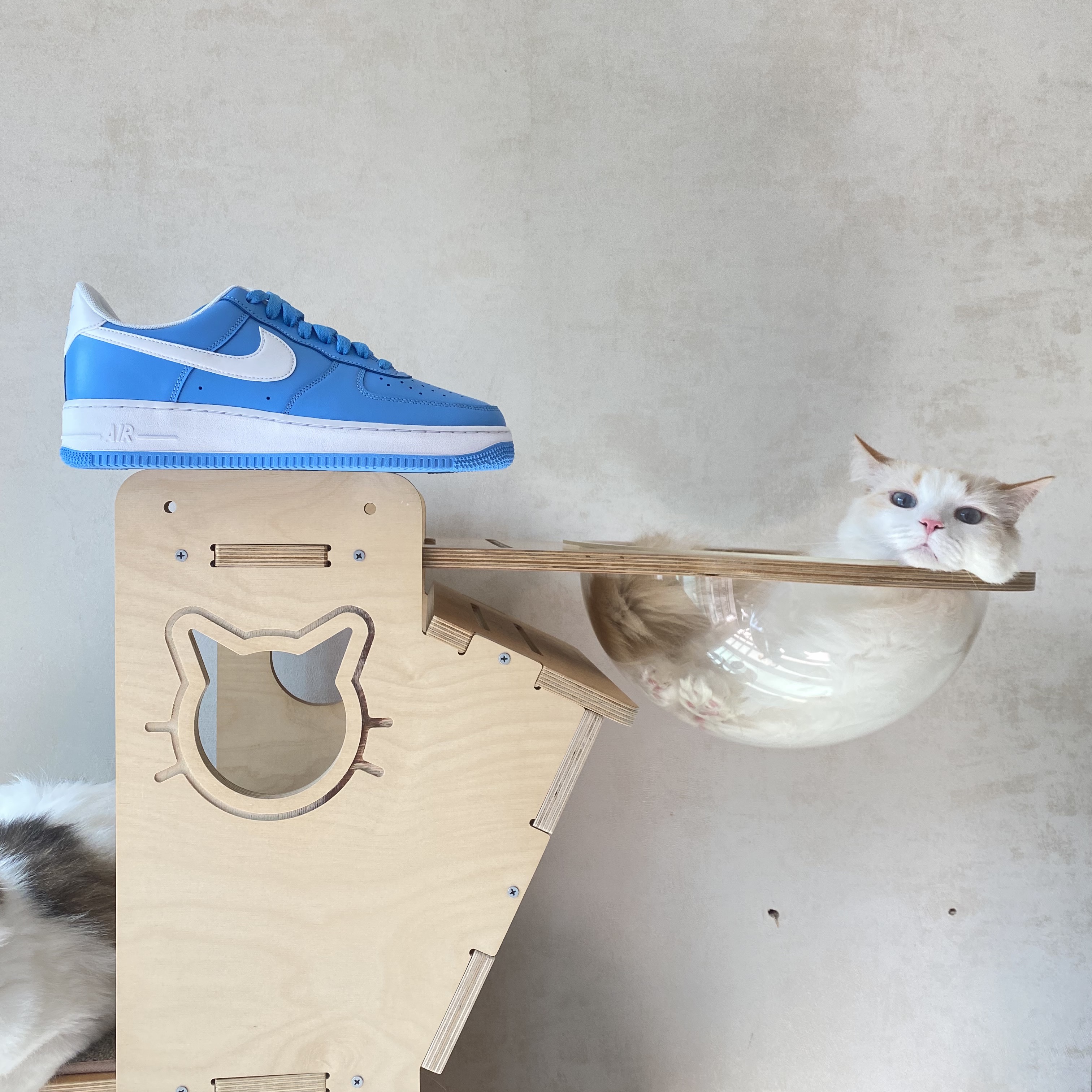 Nike Air Force 1 '07 Low University Blue 착용 스타일
