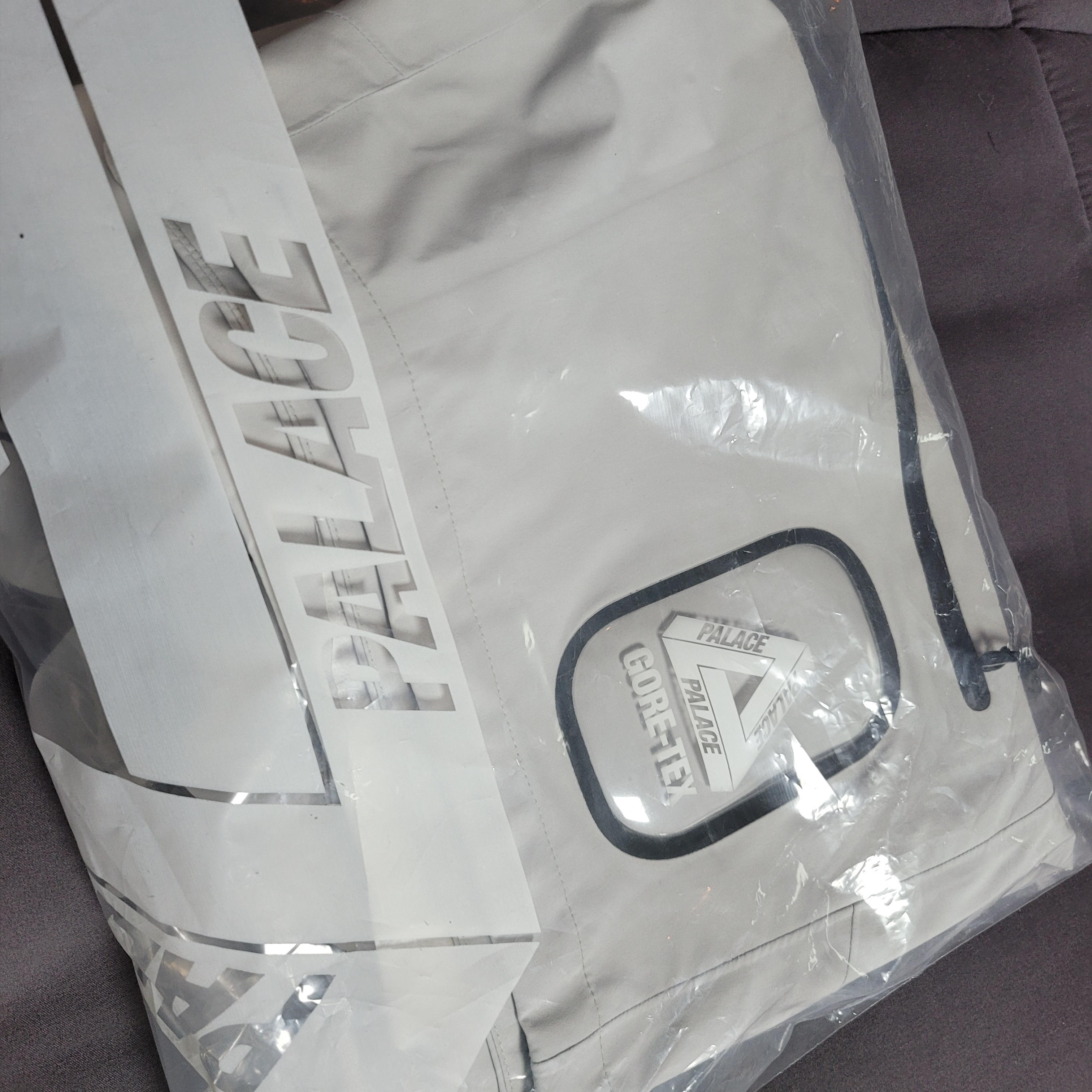 Palace Gore-Tex S-Tech Shorts Ice - 22SS 착용 스타일