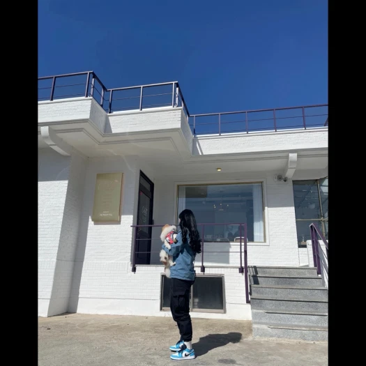 스타일 카드