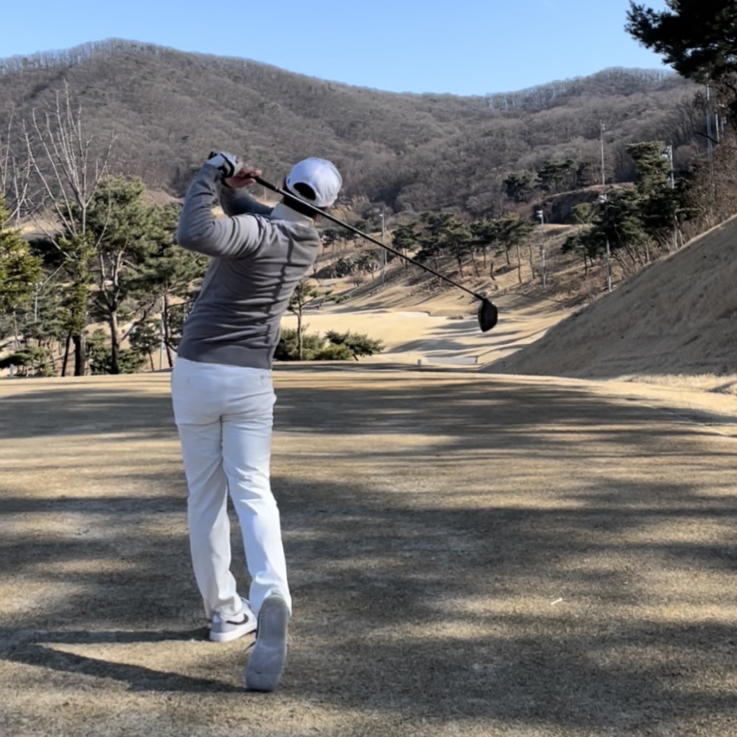 Jordan 1 Low Golf Wolf Grey 착용 스타일 - 2