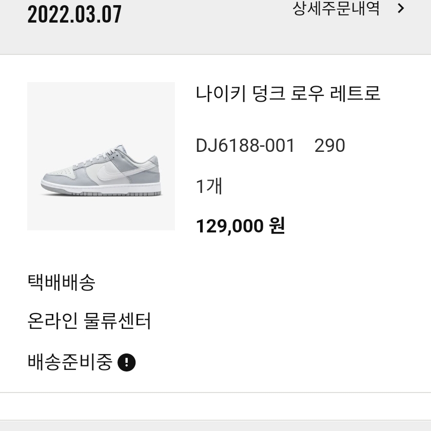 Nike Dunk Low Retro Wolf Grey 착용 스타일