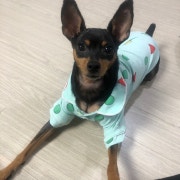 KREAM 프로필 이미지