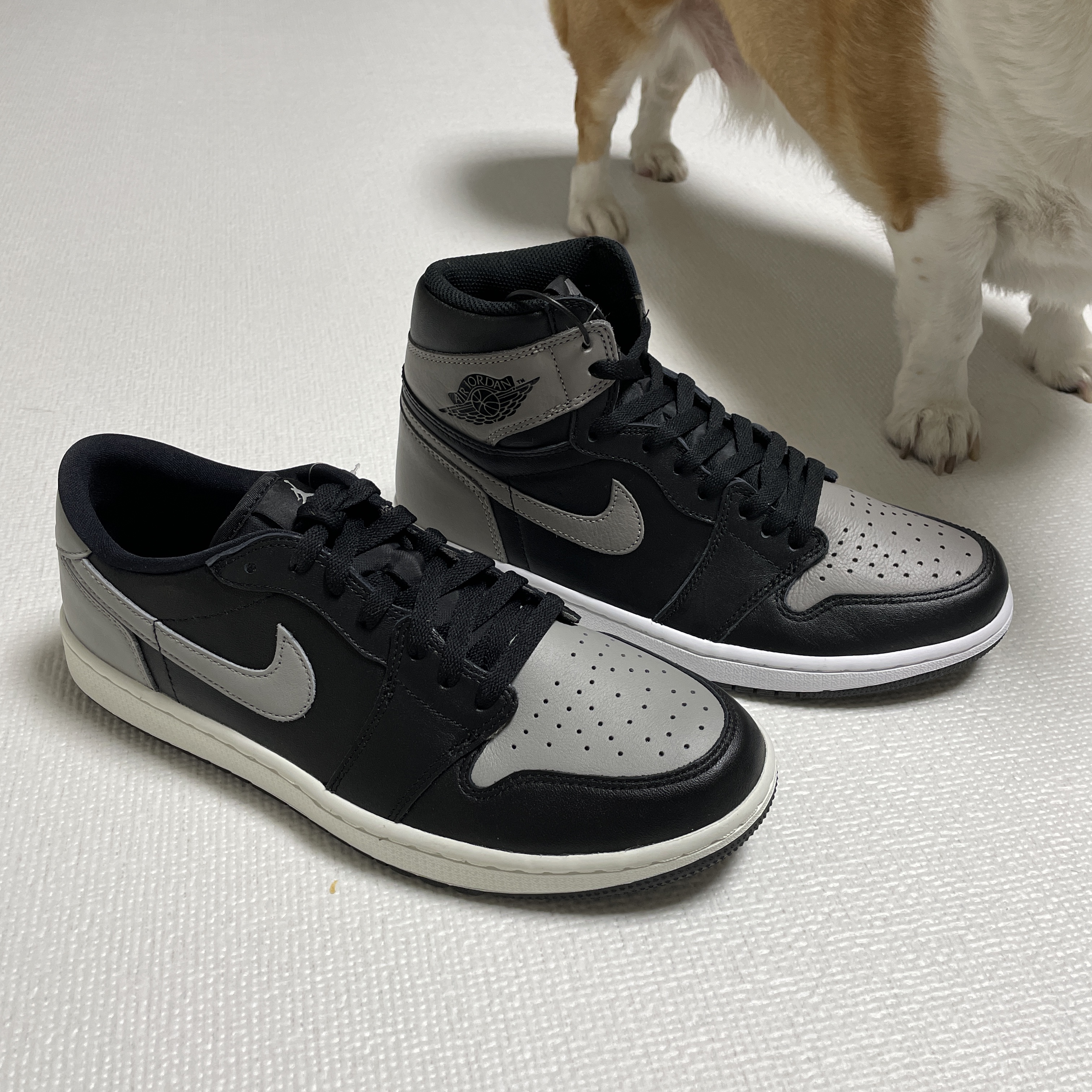 Jordan 1 Low Golf Shadow, Jordan 1 Retro High OG Shadow 2018 착용 스타일 - 1