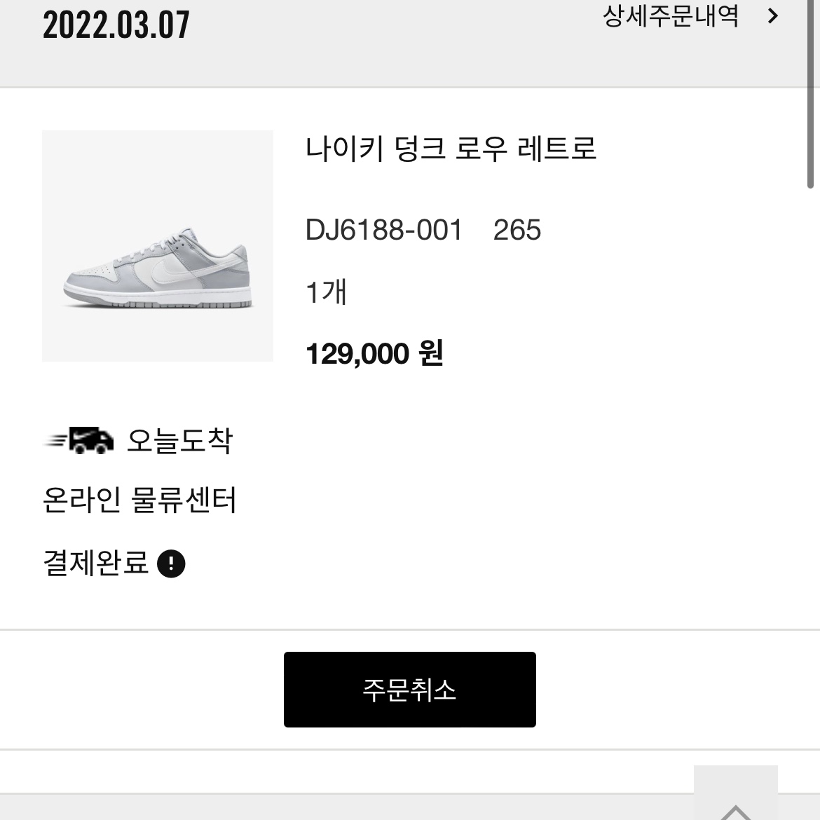 Nike Dunk Low Retro Wolf Grey 착용 스타일