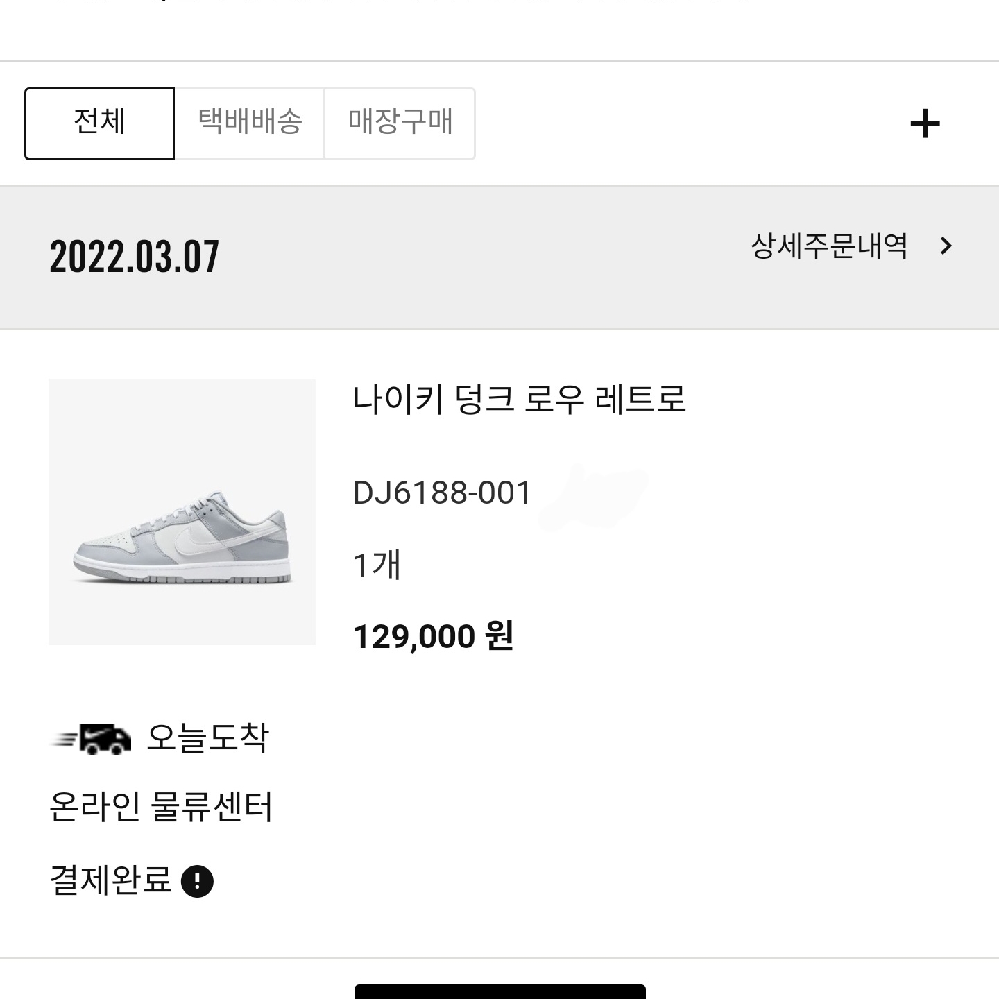 Nike Dunk Low Retro Wolf Grey 착용 스타일