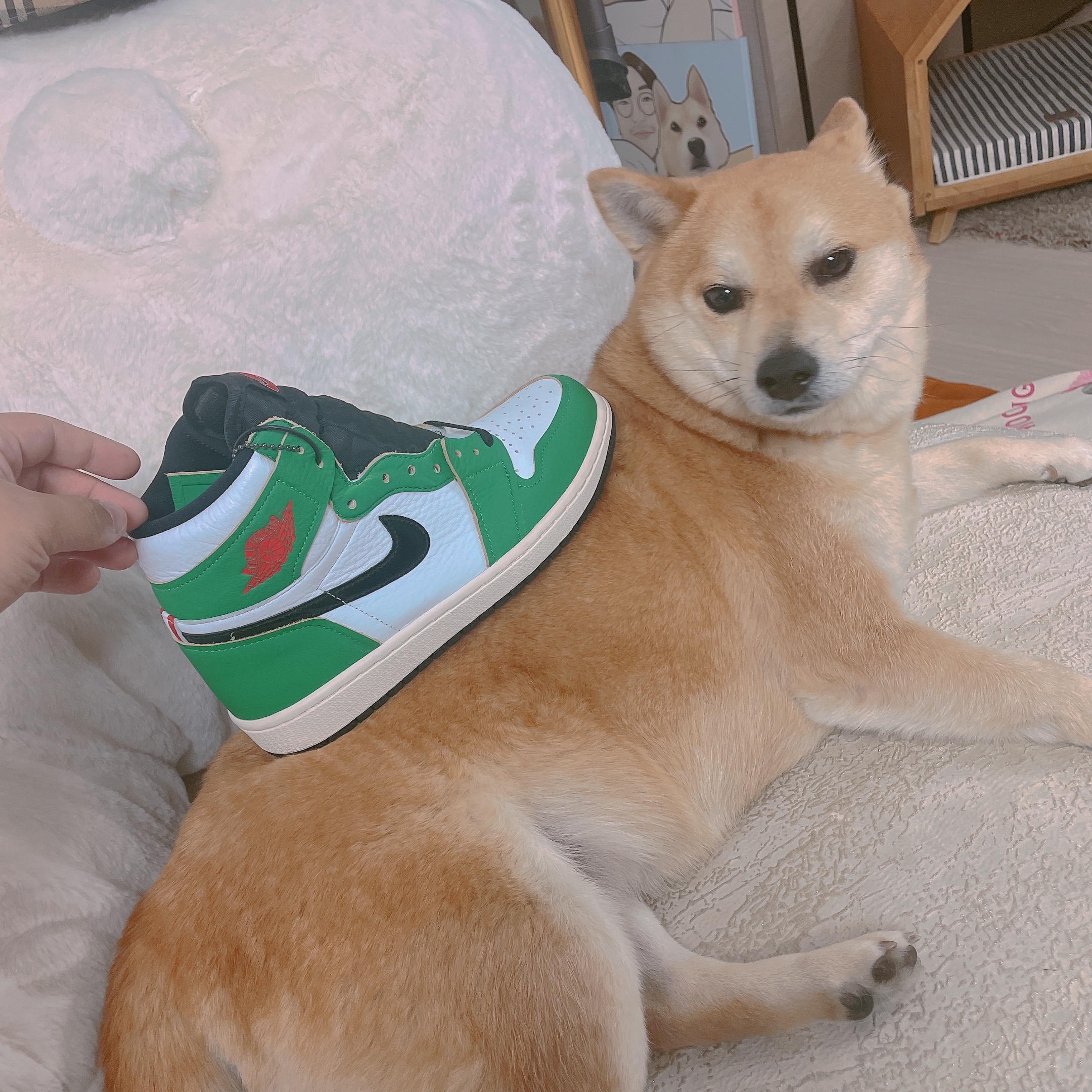 (W) Jordan 1 Retro High OG Lucky Green 착용 스타일 - 1