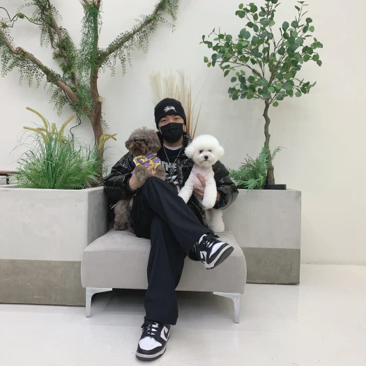 스타일 카드