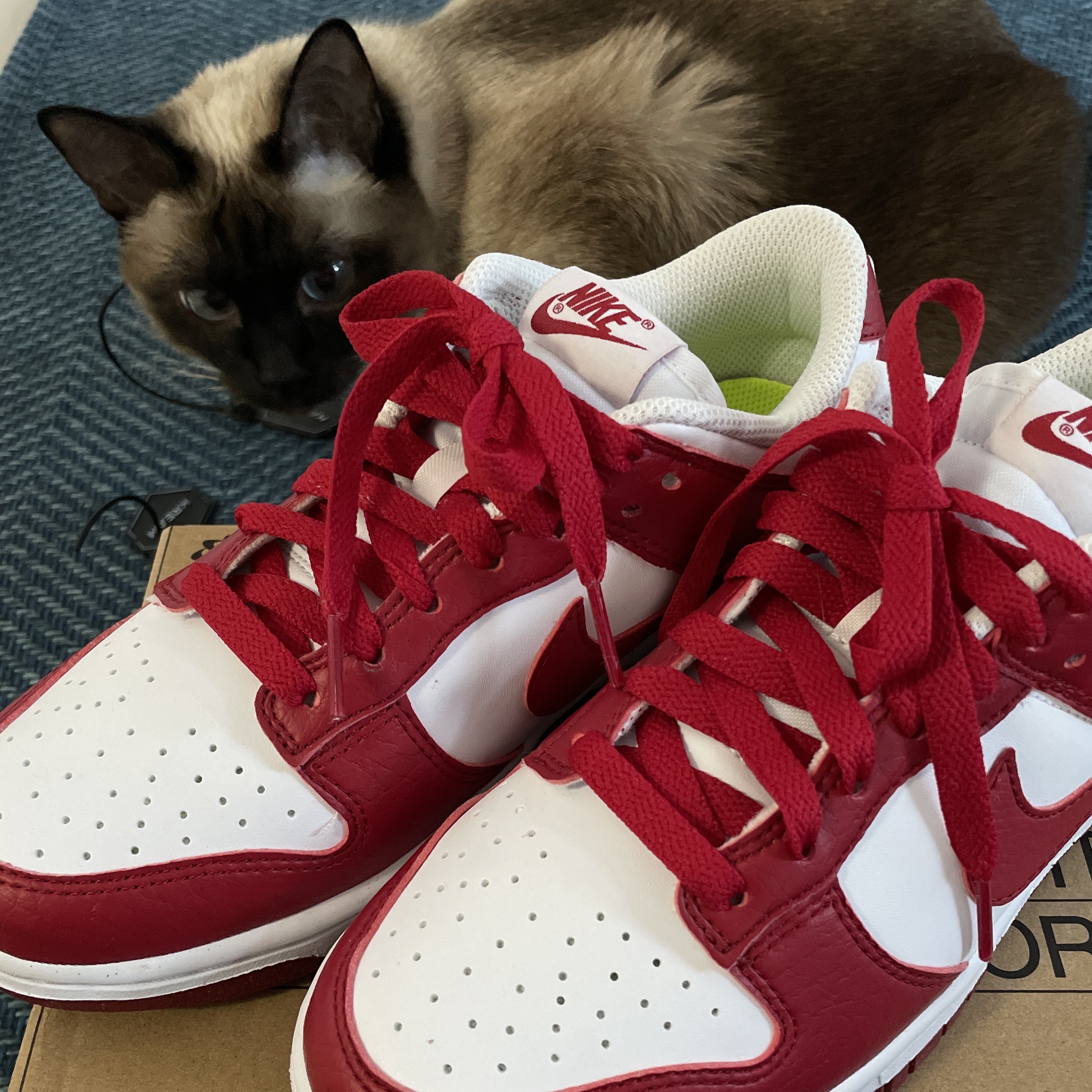 (W) Nike Dunk Low Next Nature Gym Red 착용 스타일
