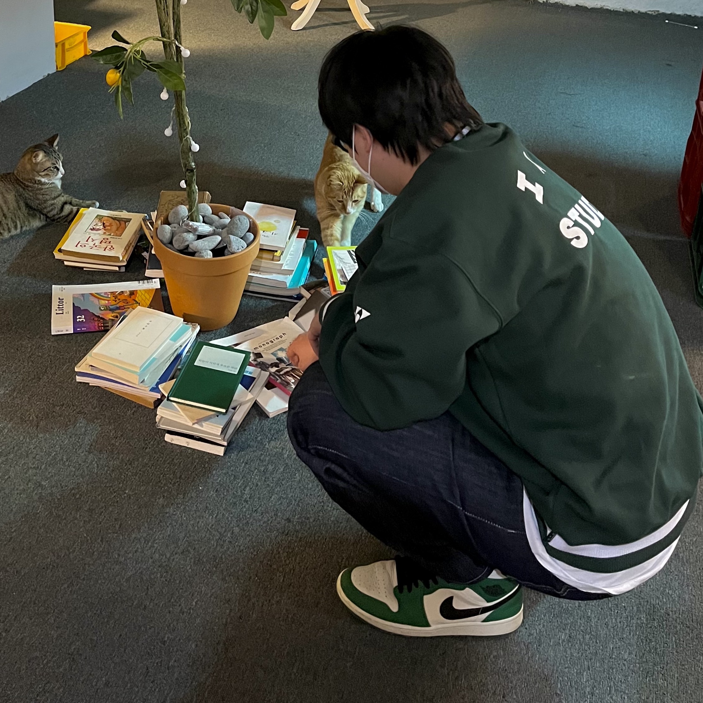 IAB Studio x Yonex Sweatshirt Green, Jordan 1 Mid Pine Green 착용 스타일