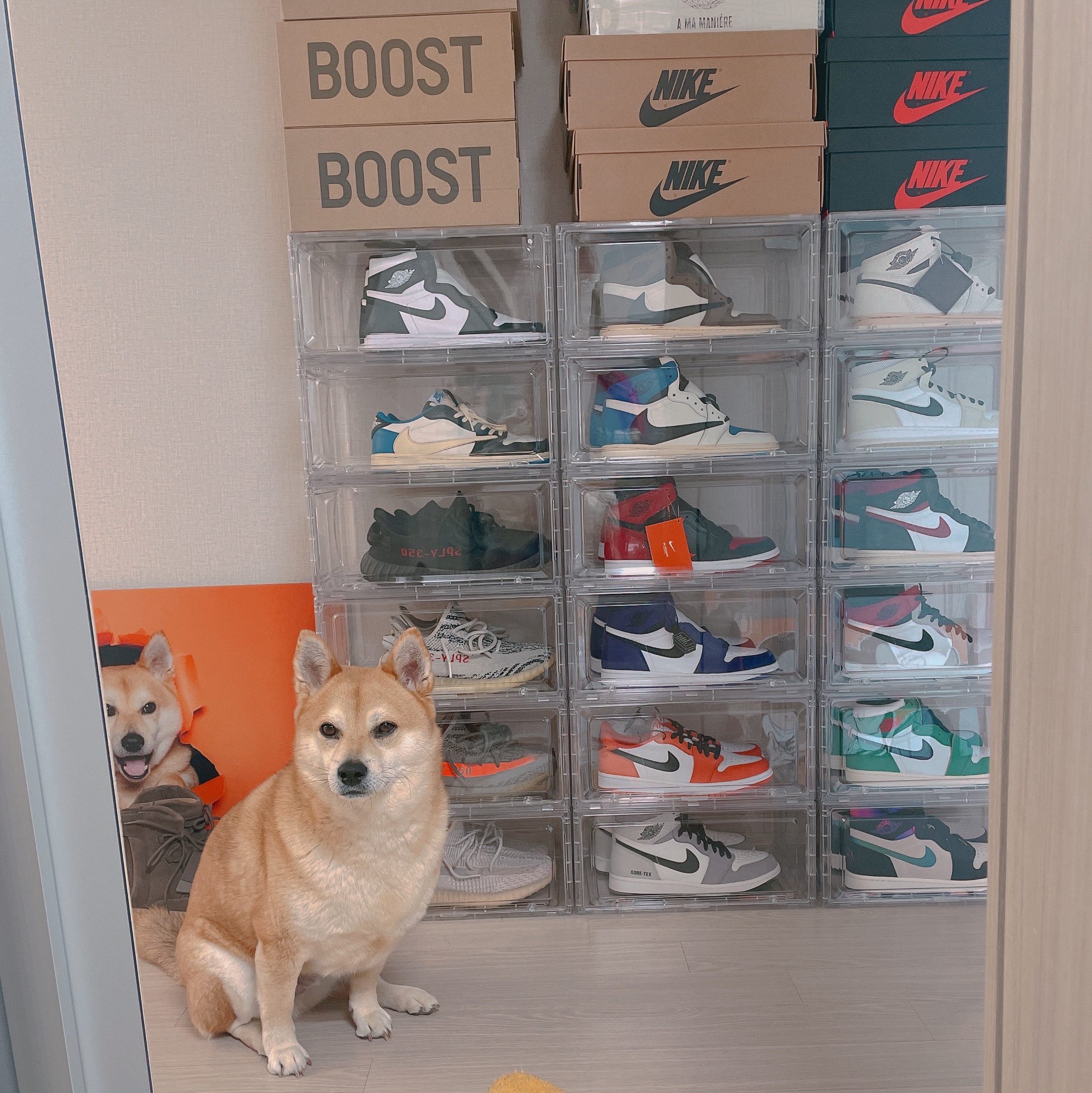 Adidas Yeezy Boost 350 V2 Beluga 착용 스타일 - 2